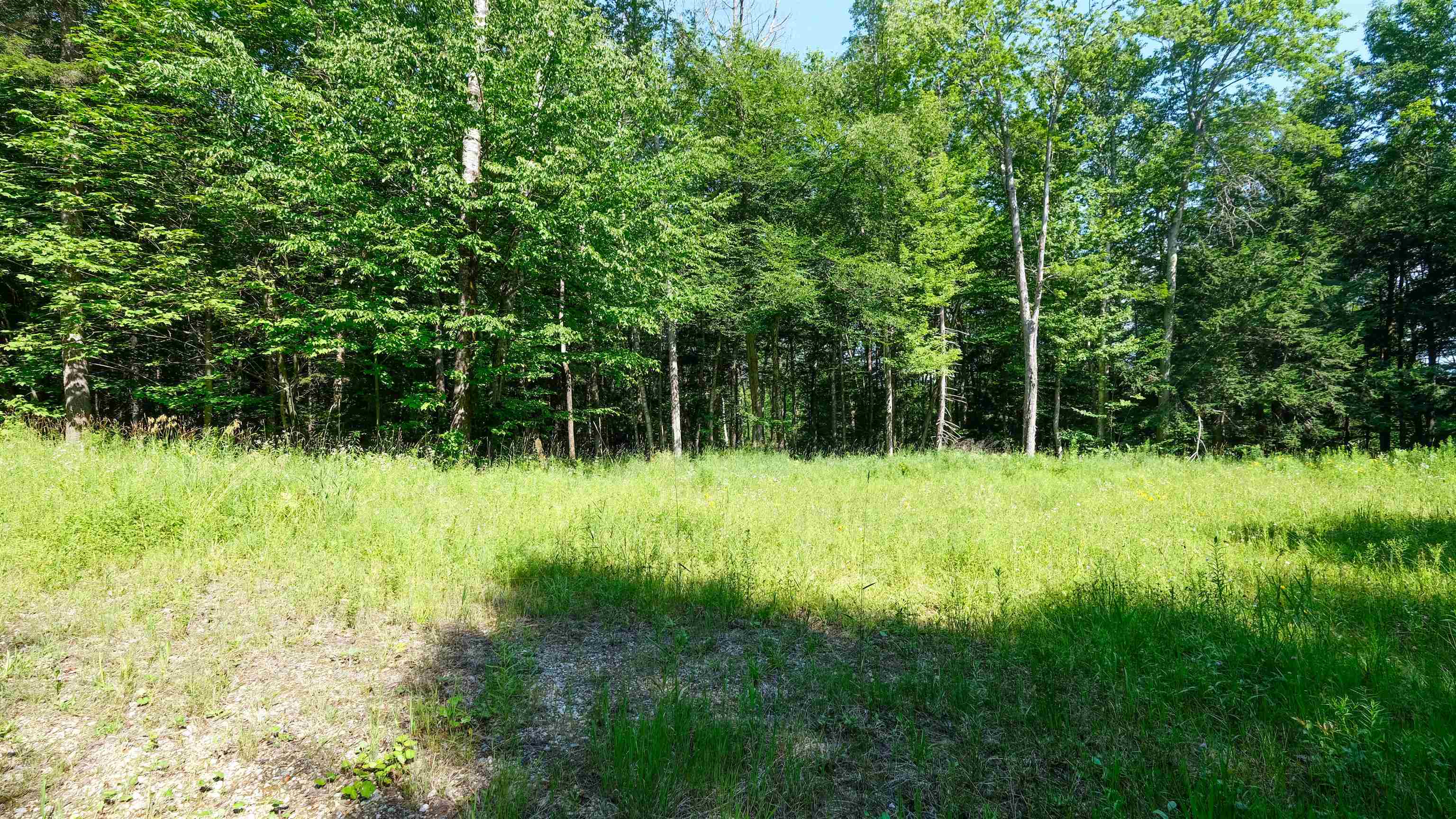 0 Berry Patch Lane Property Photo 4