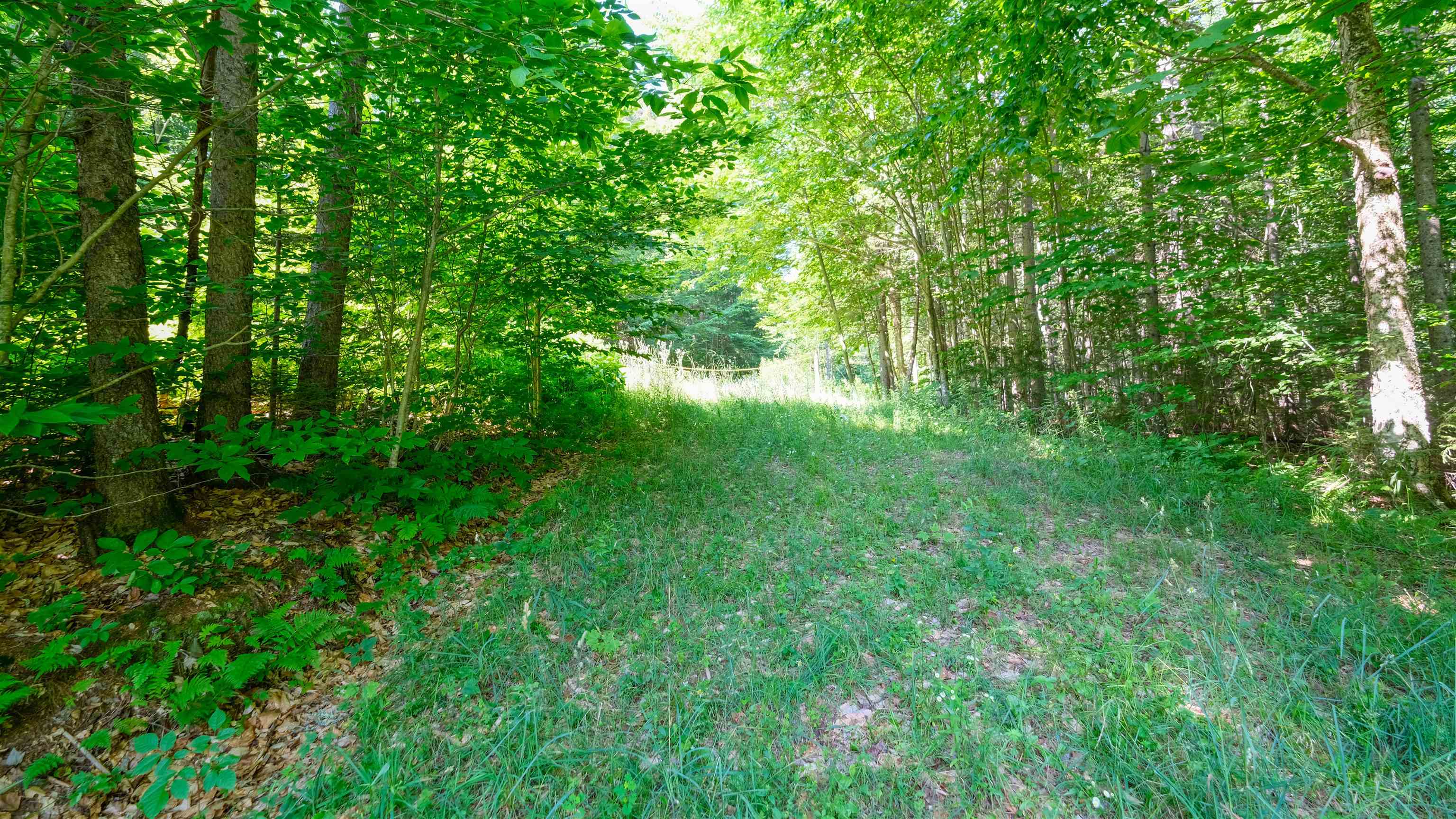 0 Berry Patch Lane Property Photo 18