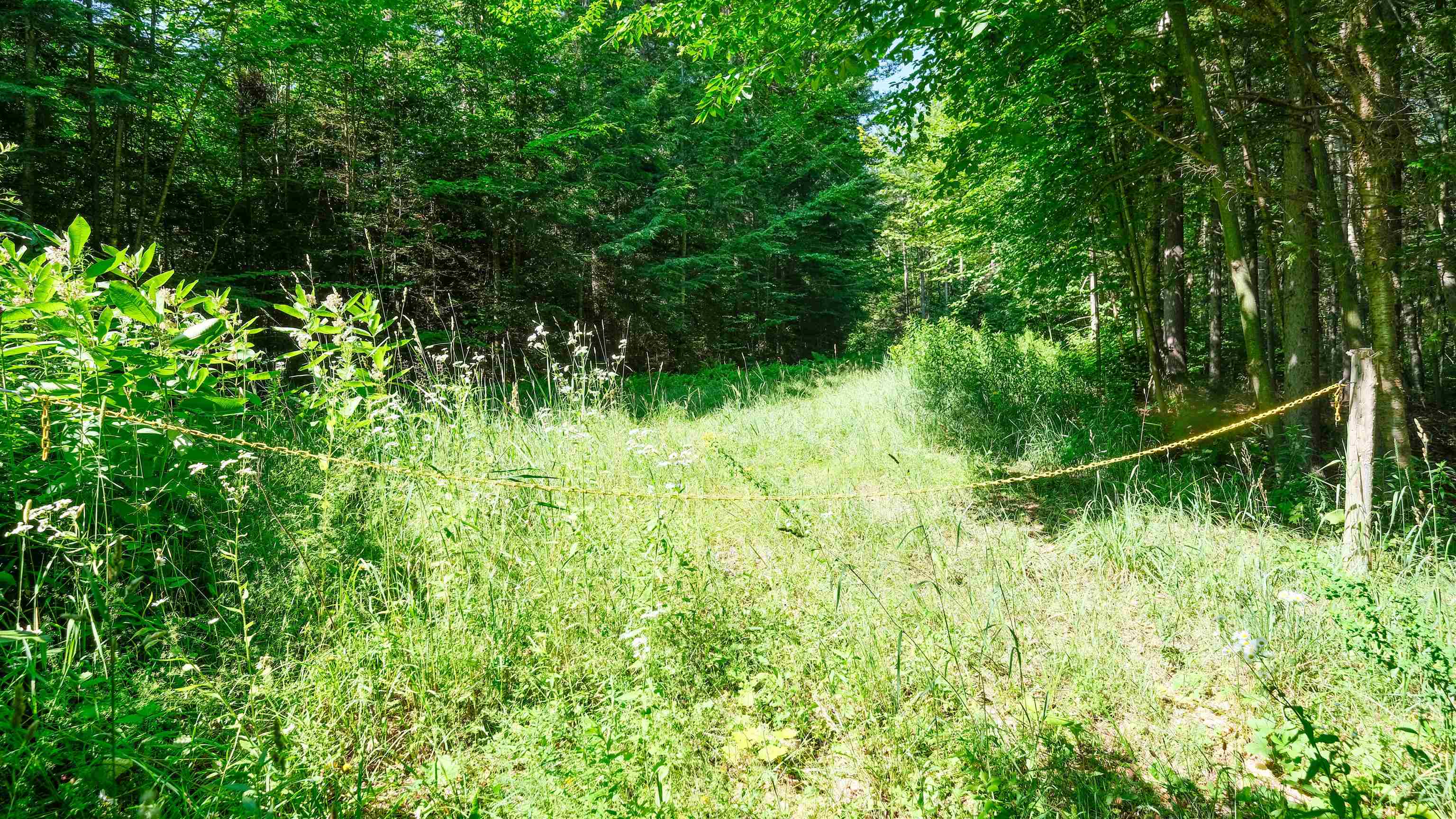 0 Berry Patch Lane Property Photo 19