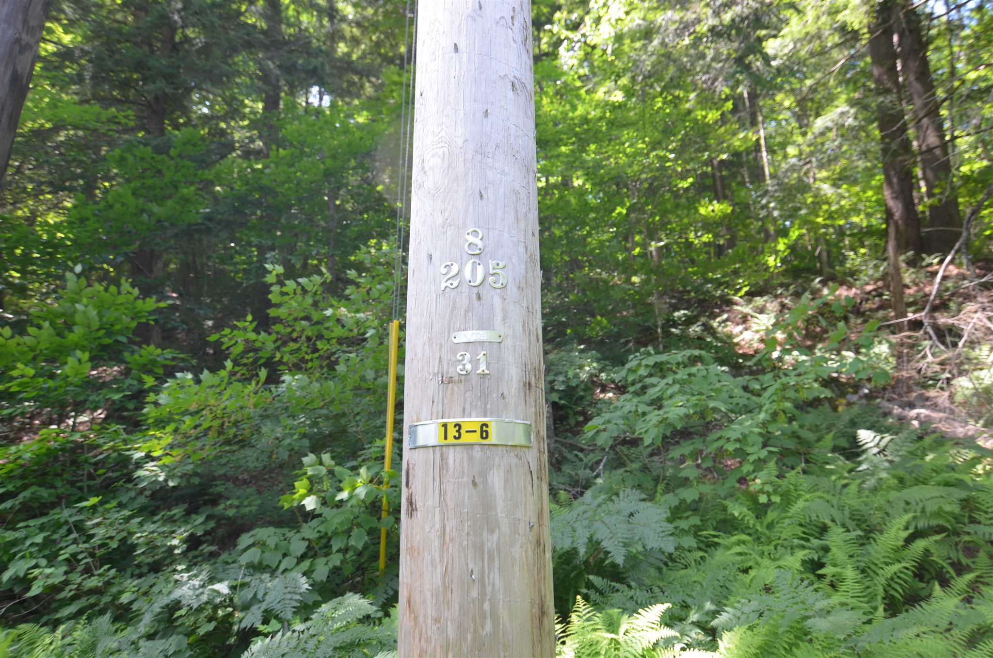 1336 Route 100 Property Photo 6