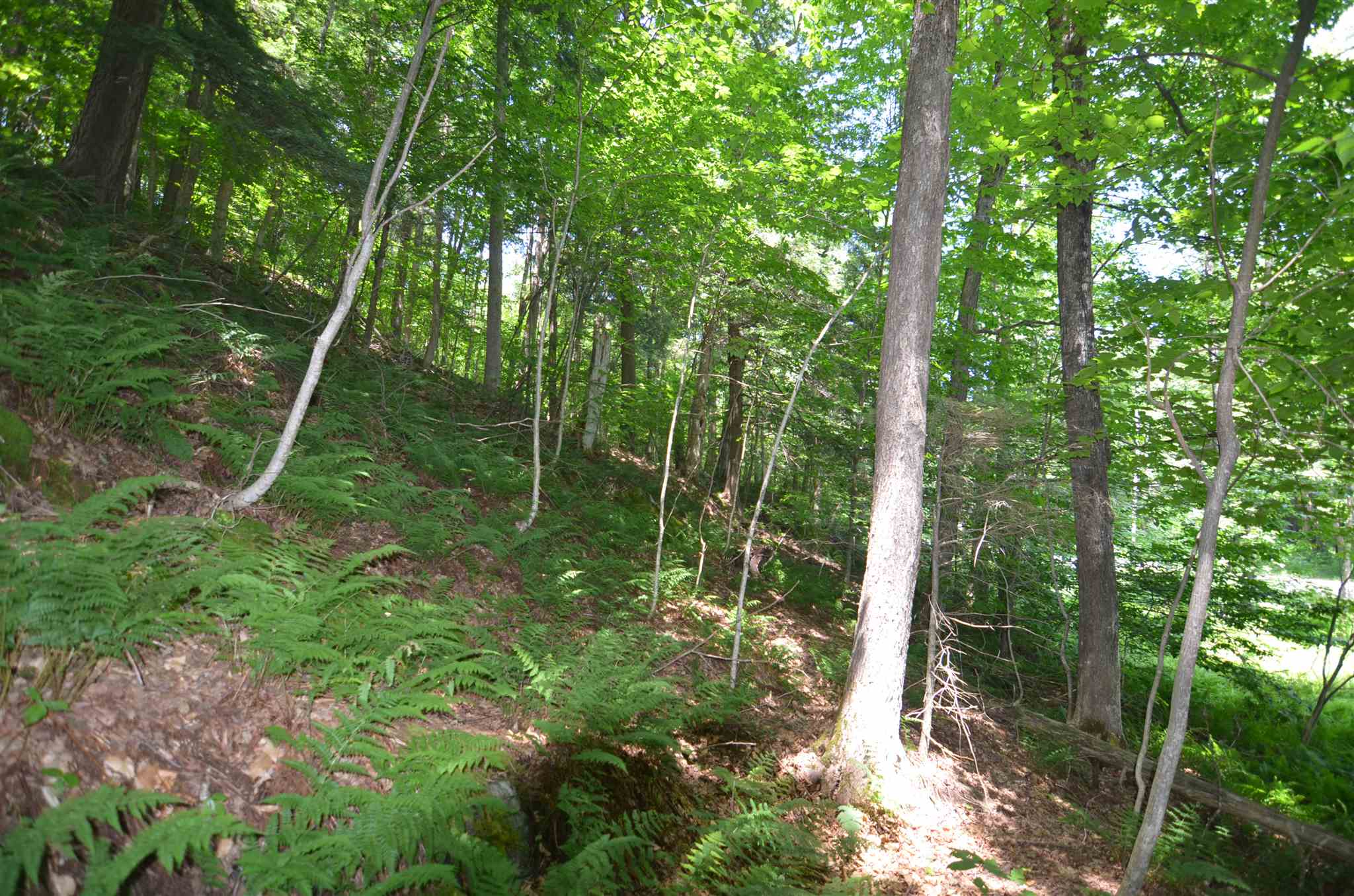 1336 Route 100 Property Photo 8