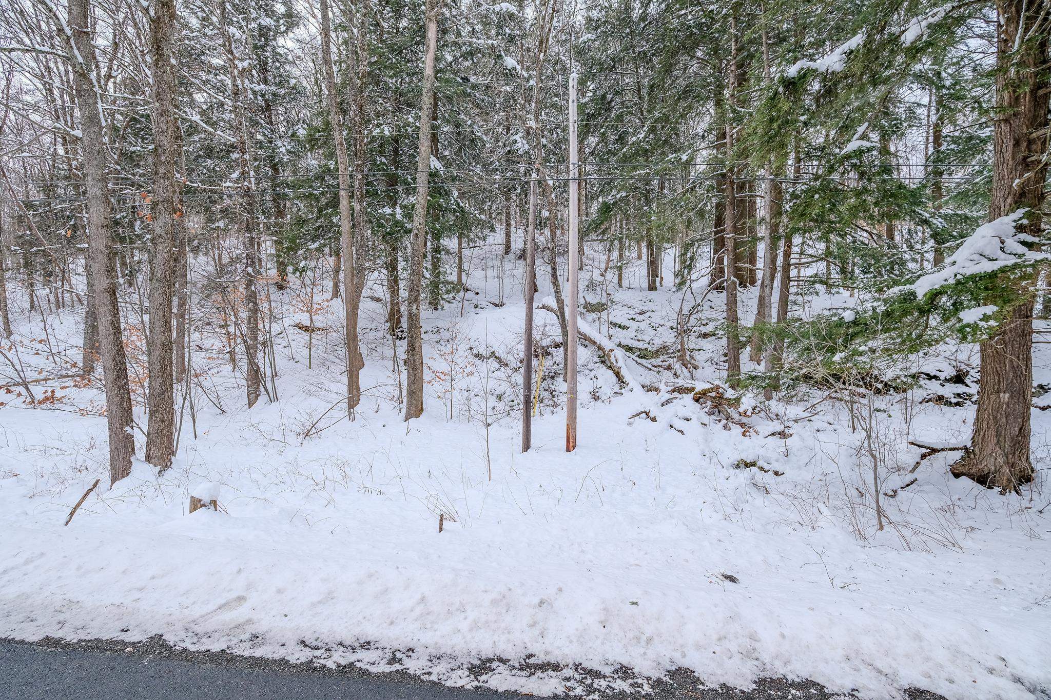 1336 Route 100 Property Photo 13