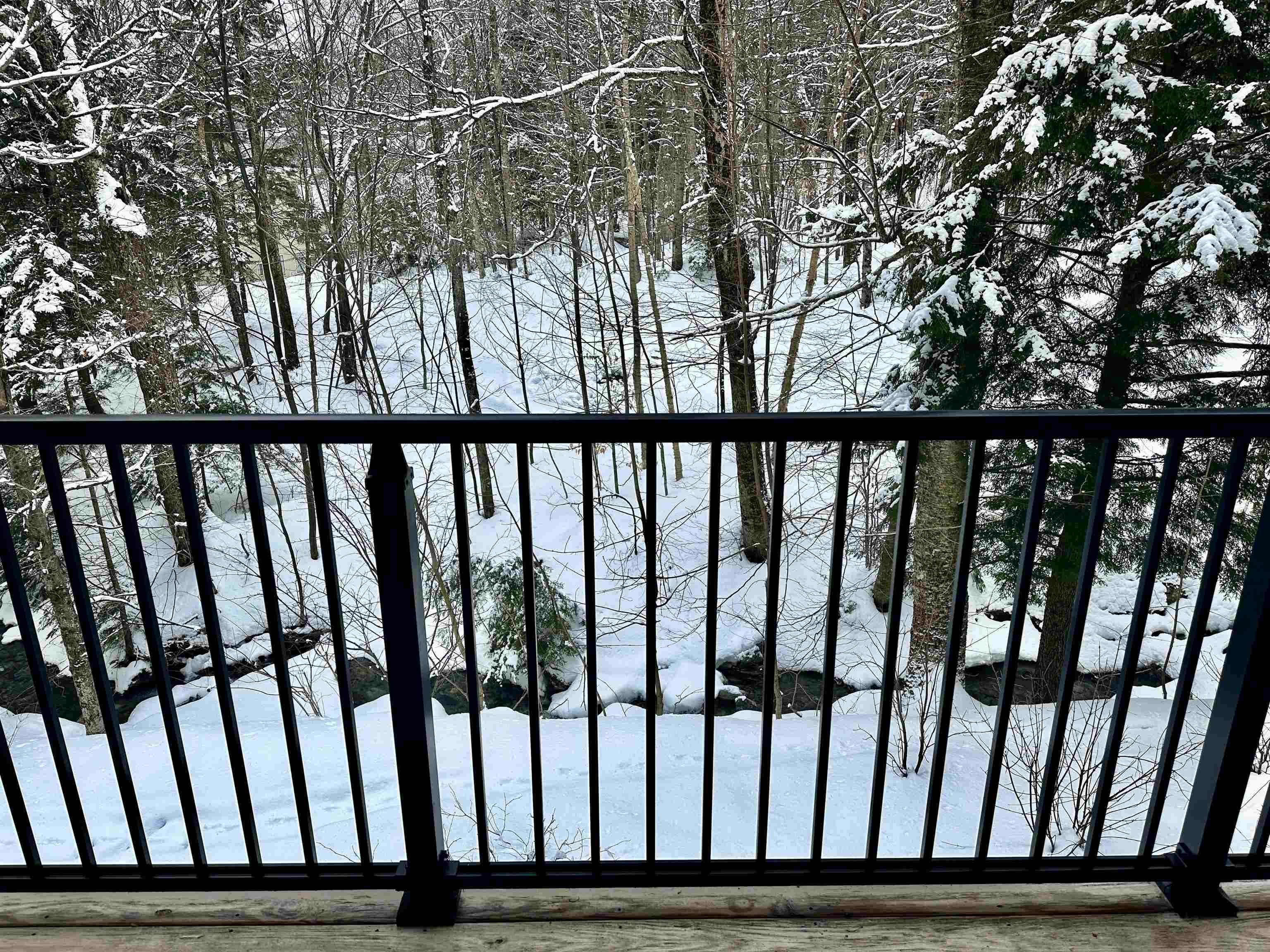 251 Mountainside Drive Property Photo 19