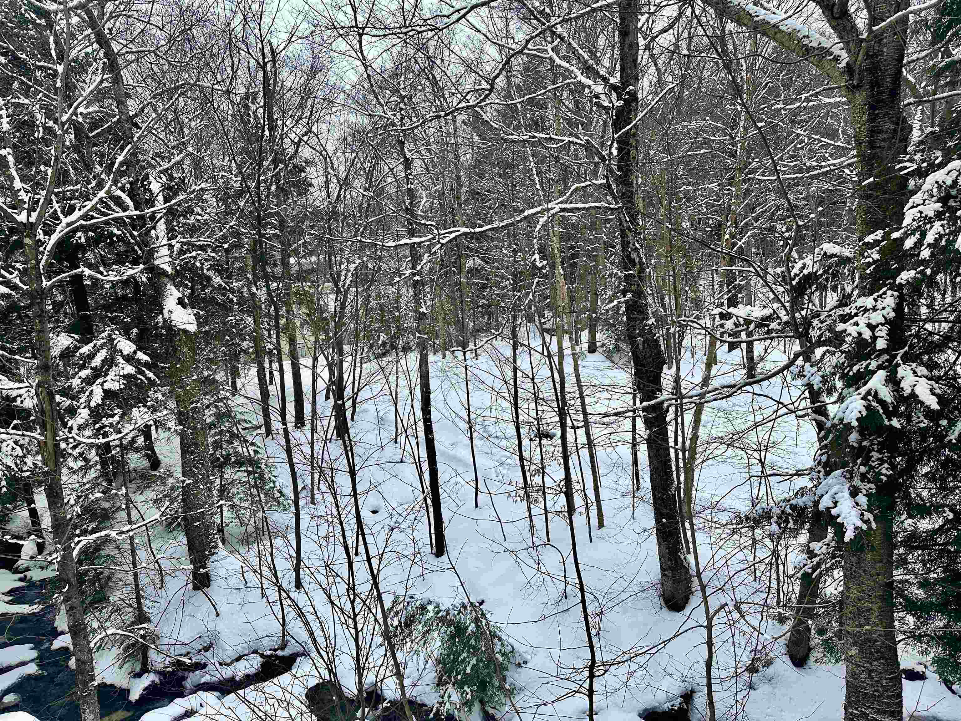 251 Mountainside Drive Property Photo 20
