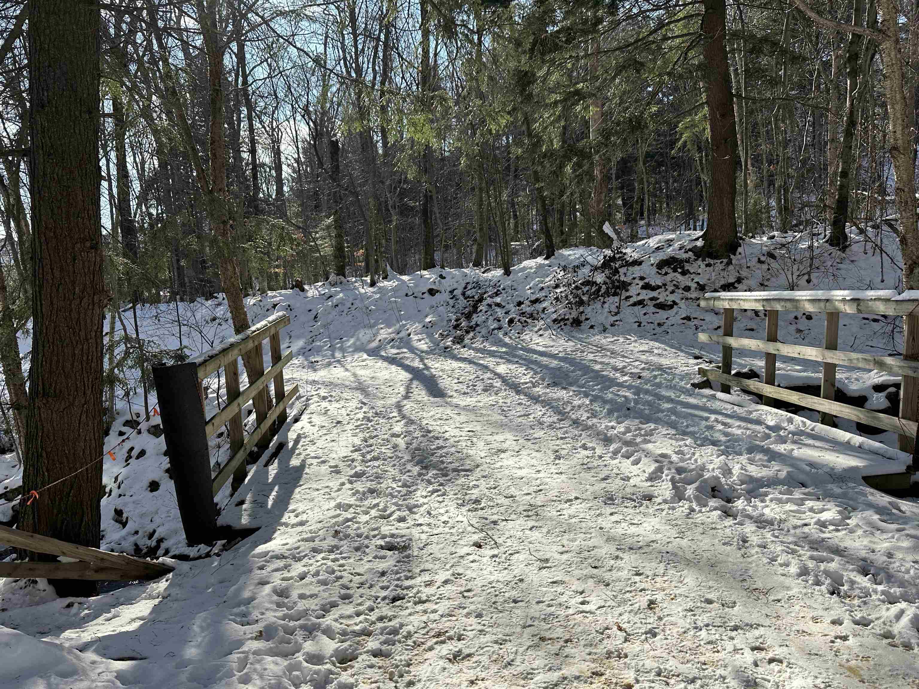 251 Mountainside Drive Property Photo 22