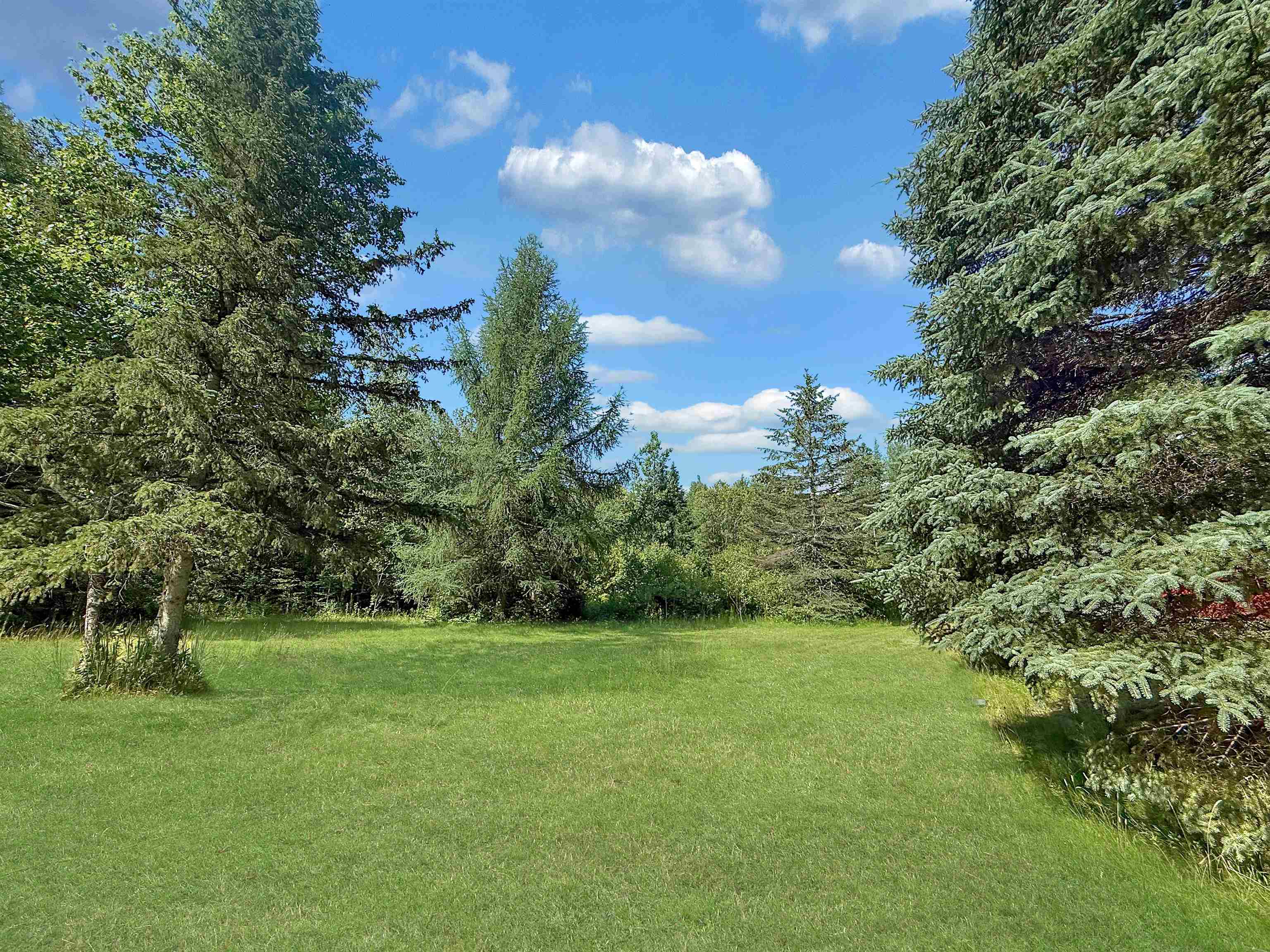 517 River Road Property Photo 4