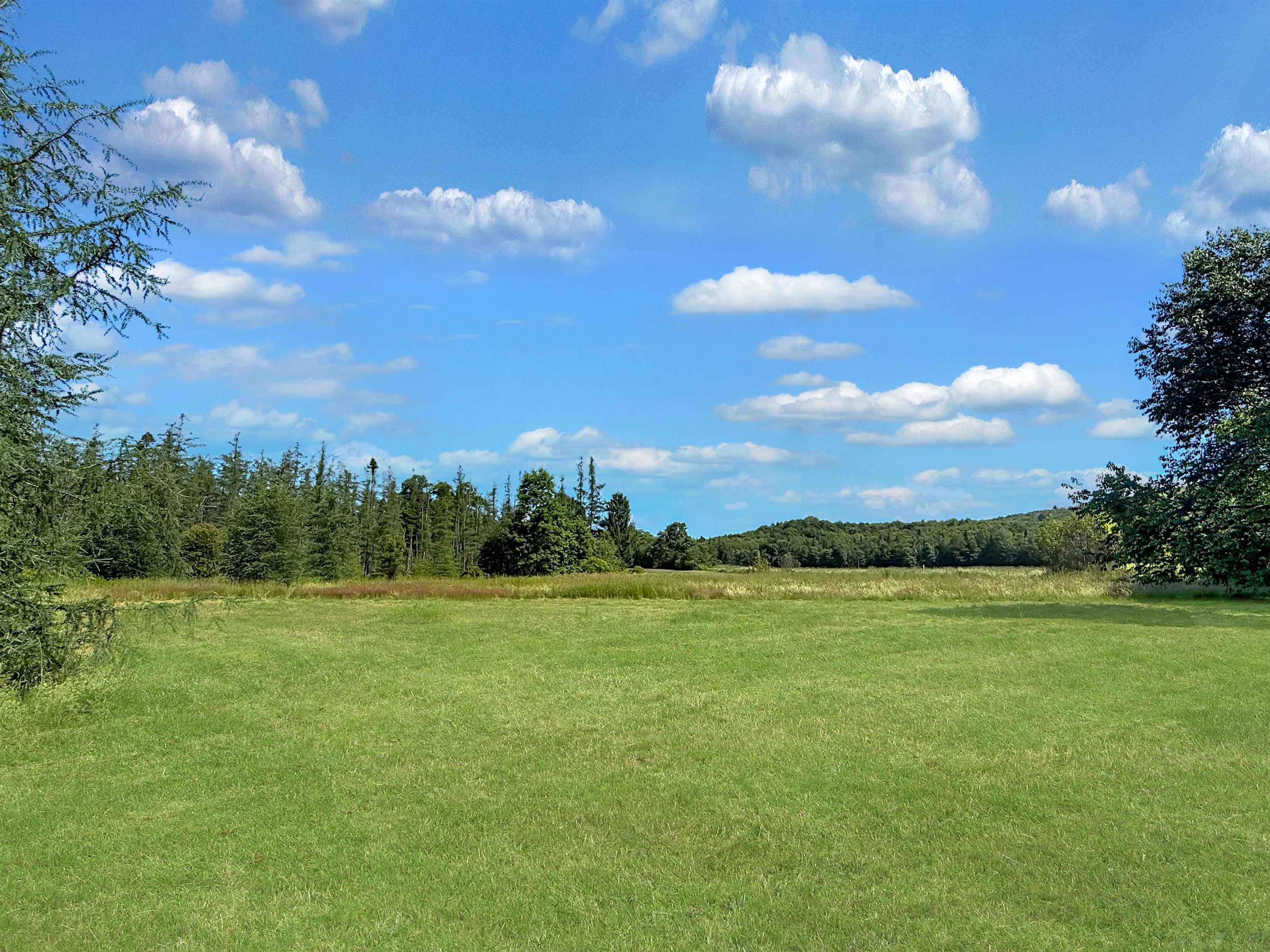 517 River Road Property Photo 43