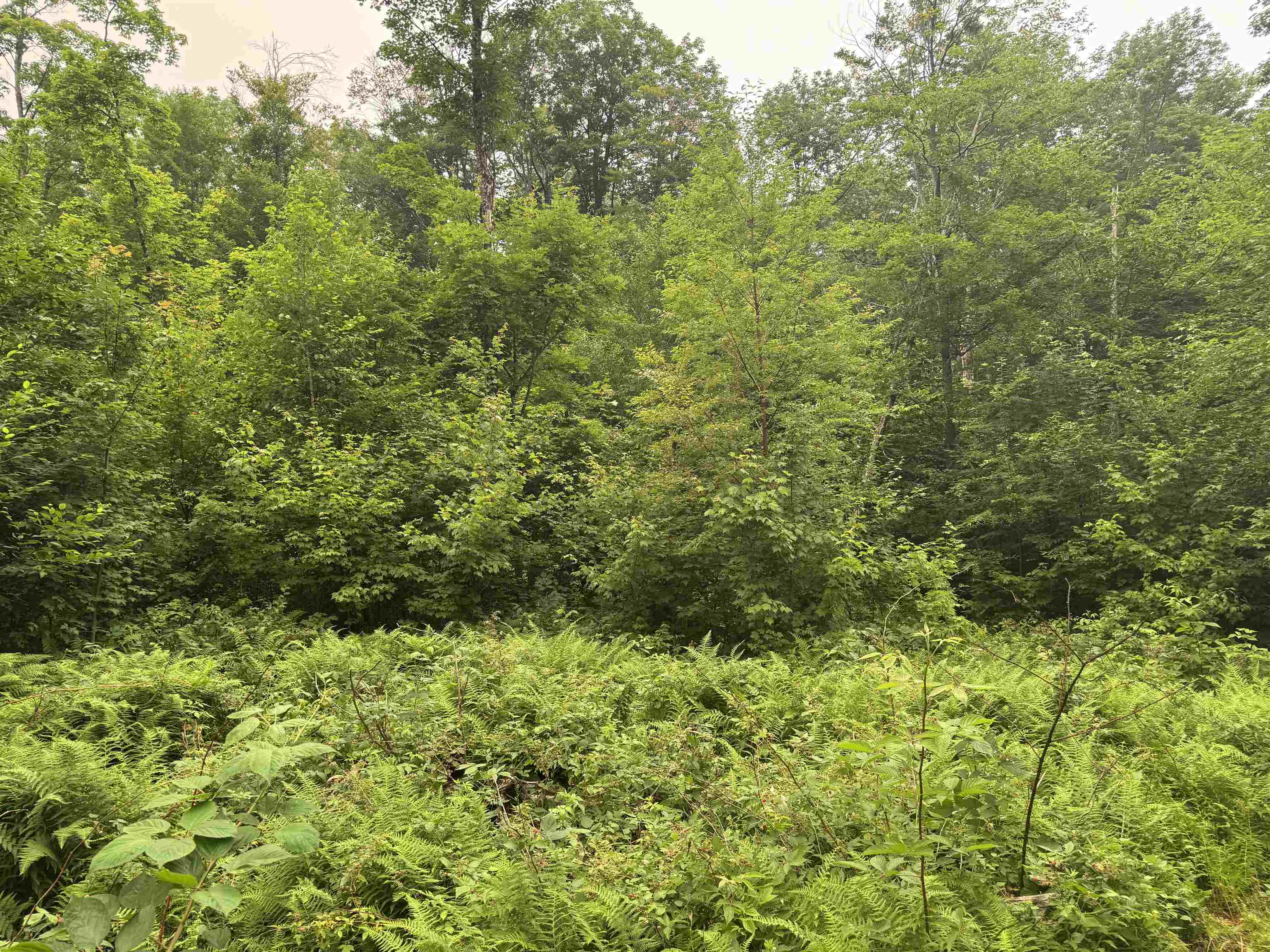 185 Valley View Road Property Photo 5