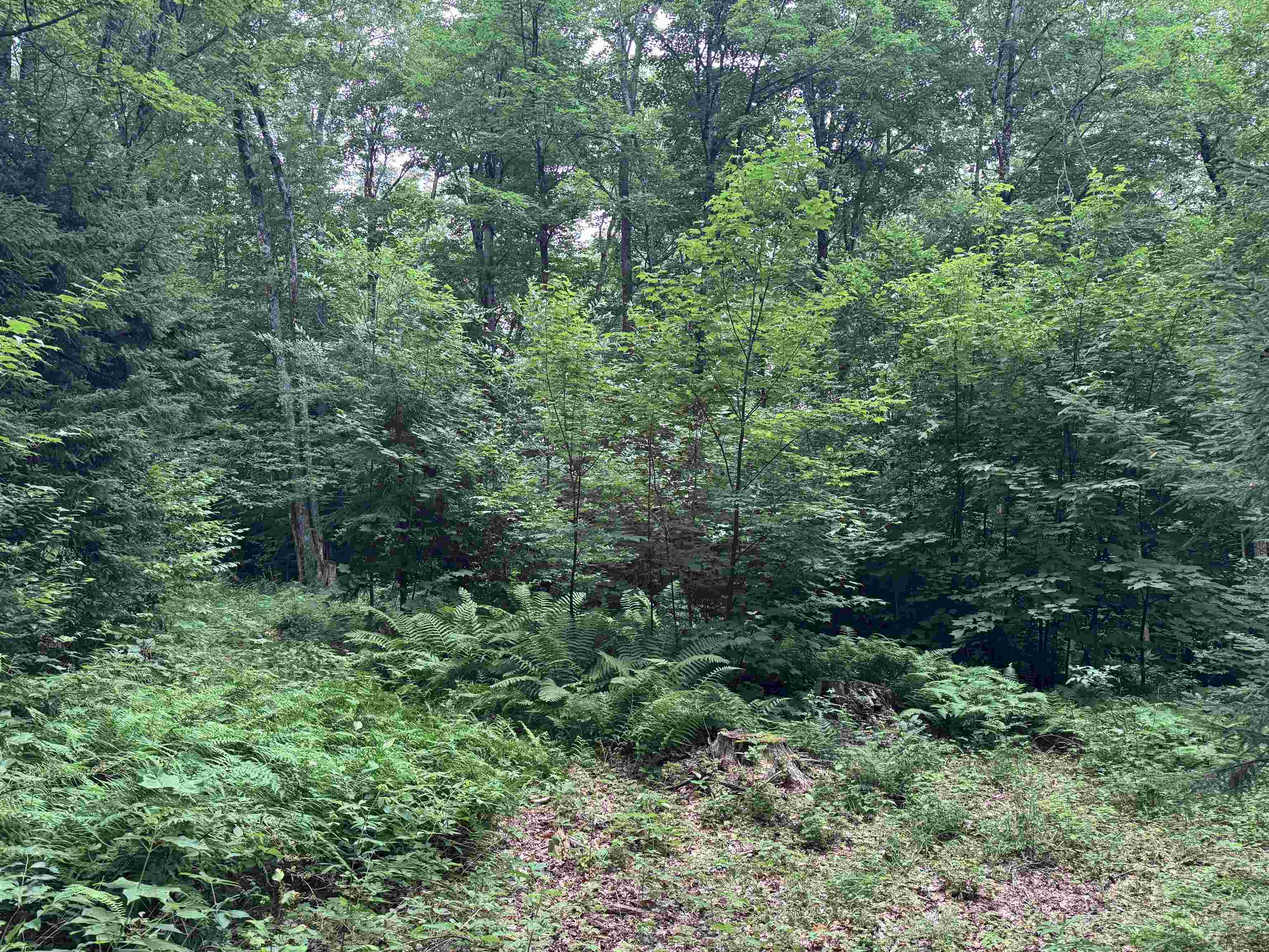 185 Valley View Road Property Photo 11