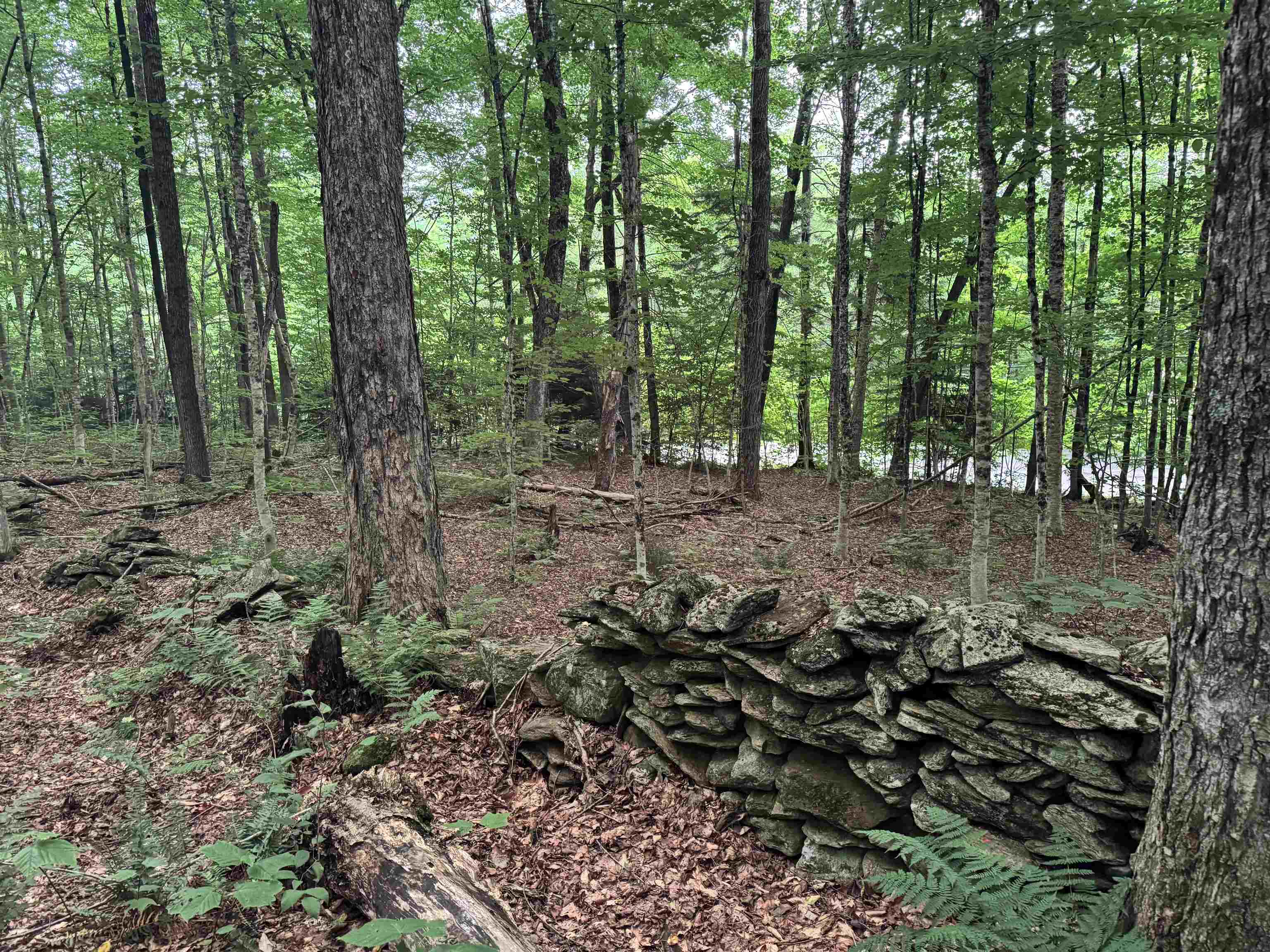 185 Valley View Road Property Photo 17