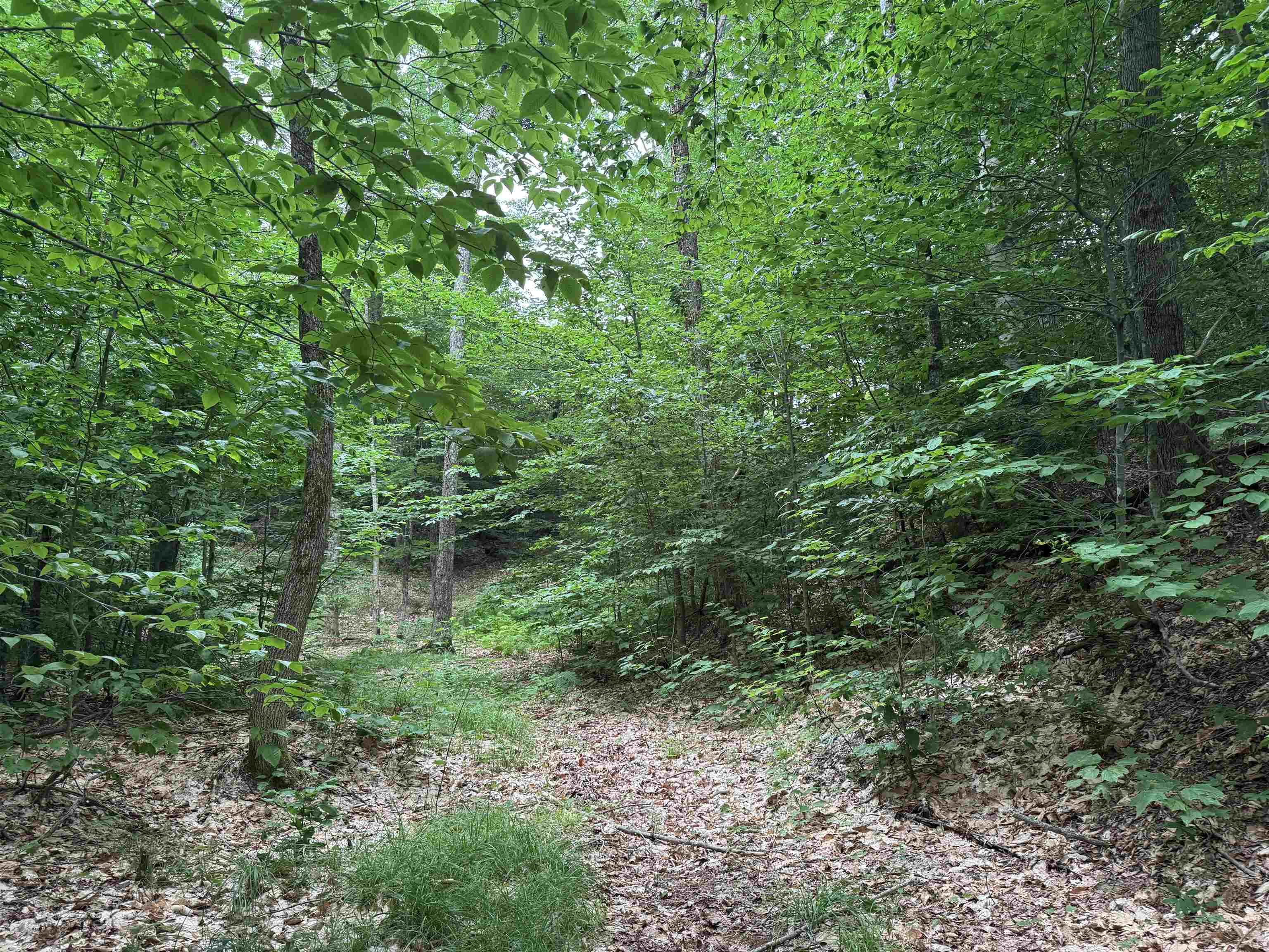 185 Valley View Road Property Photo 30