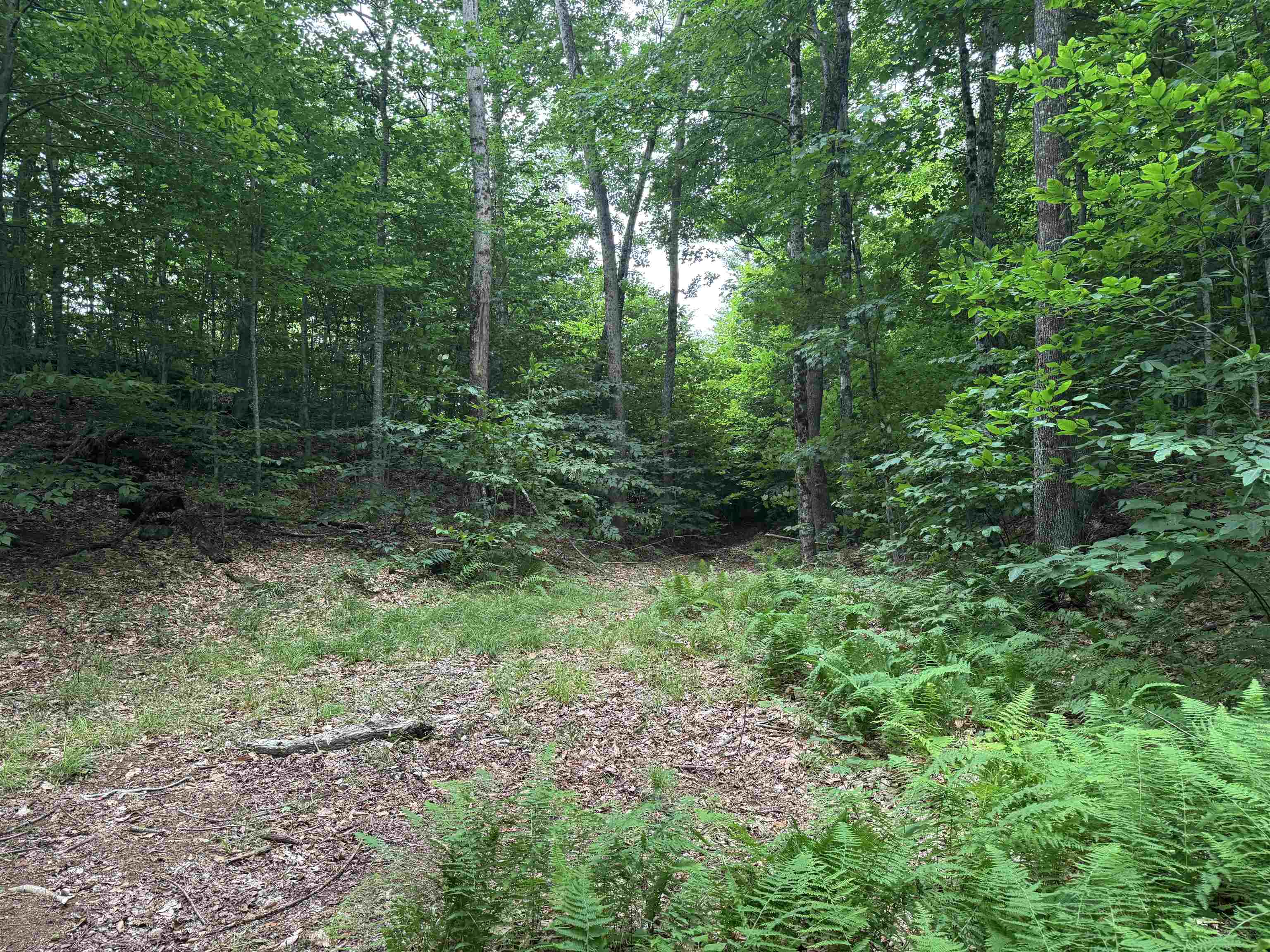 185 Valley View Road Property Photo 31