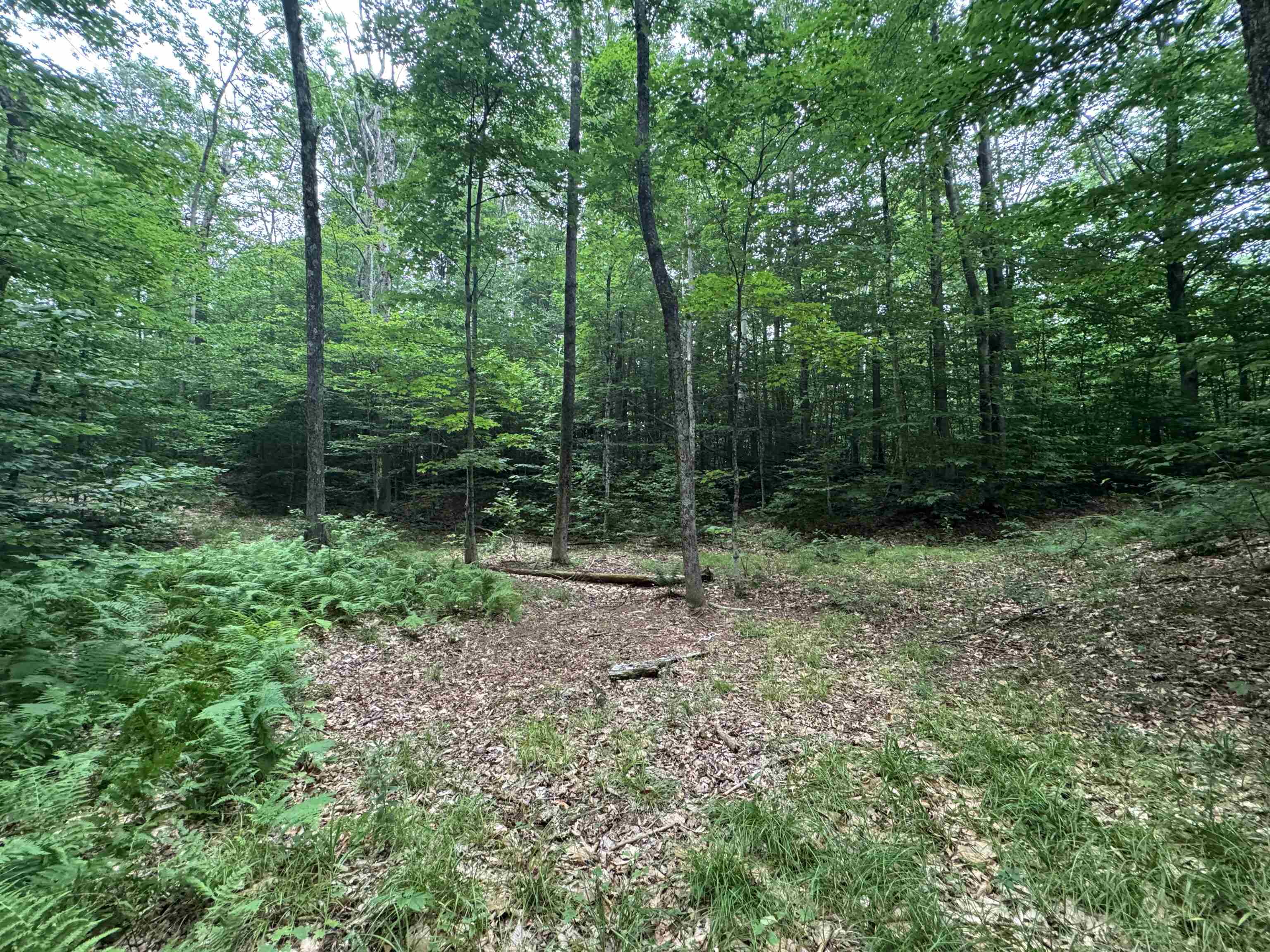 185 Valley View Road Property Photo 32