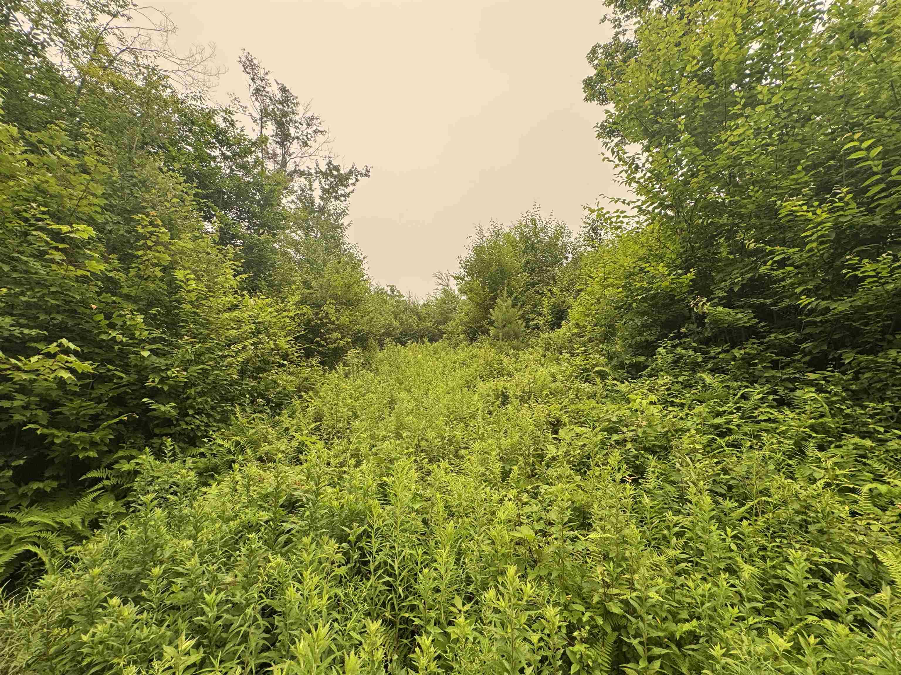 185 Valley View Road Property Photo 33