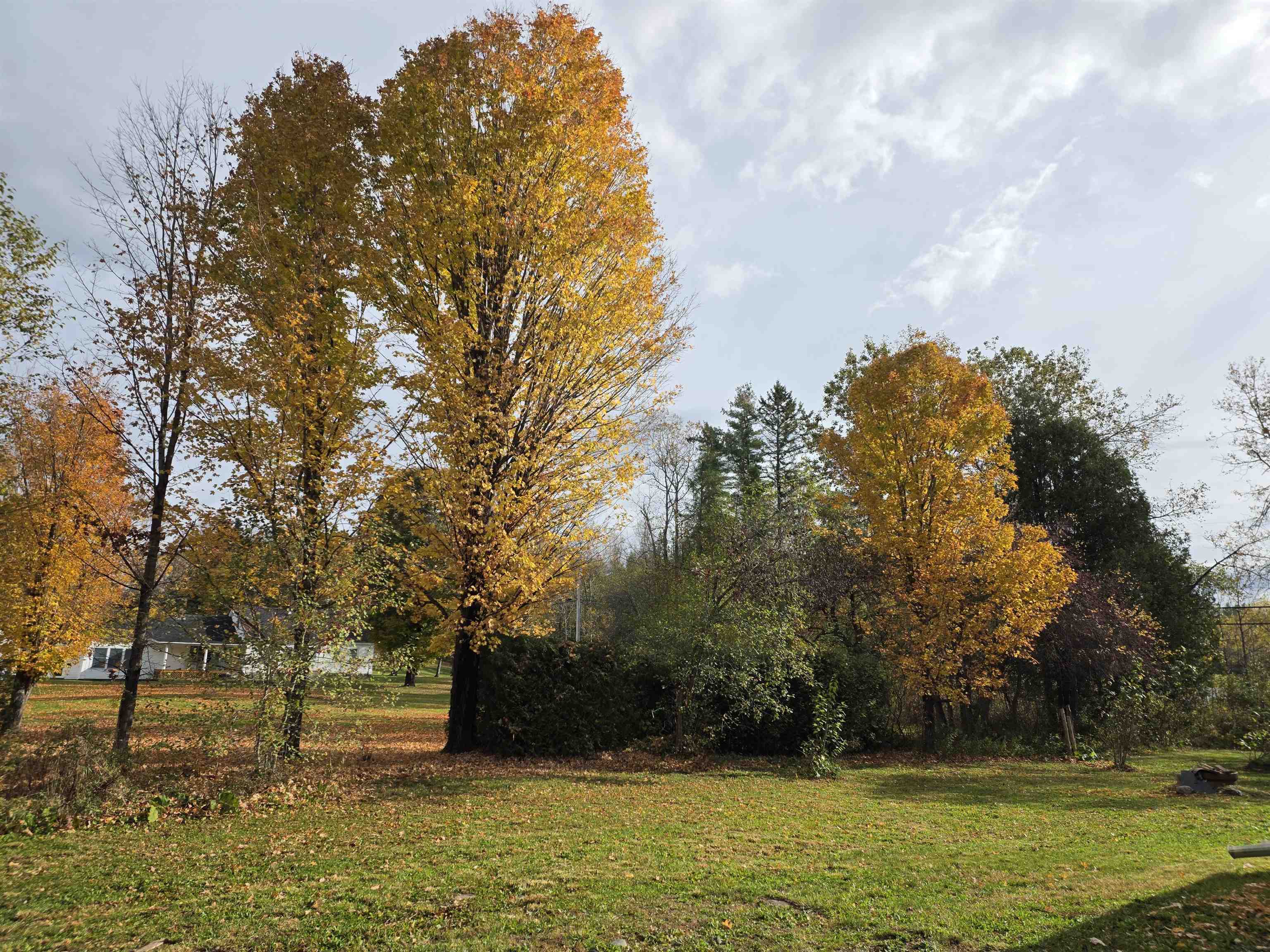 76 Harveys Hollow Road Property Photo 3
