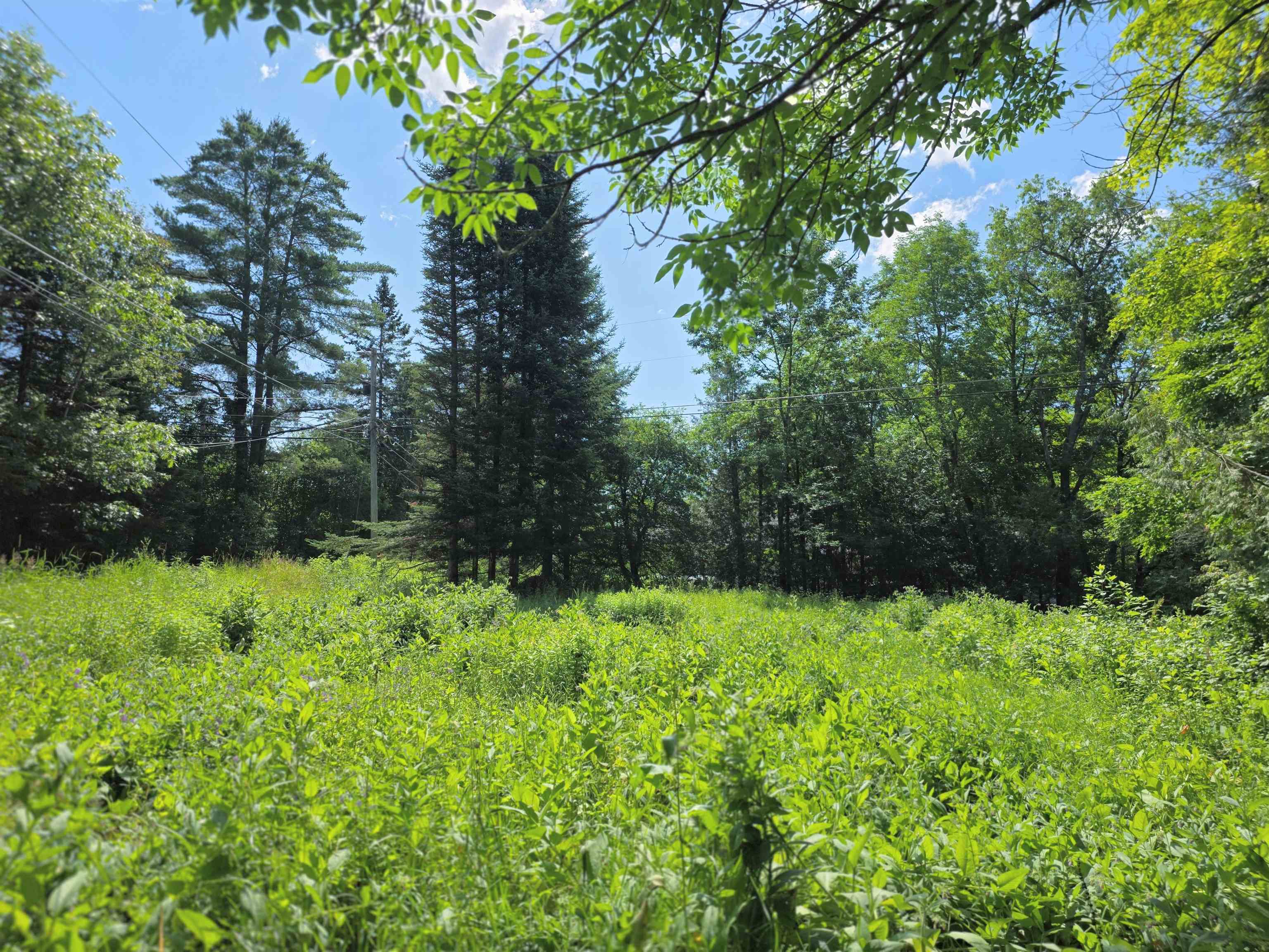 76 Harveys Hollow Road Property Photo 44