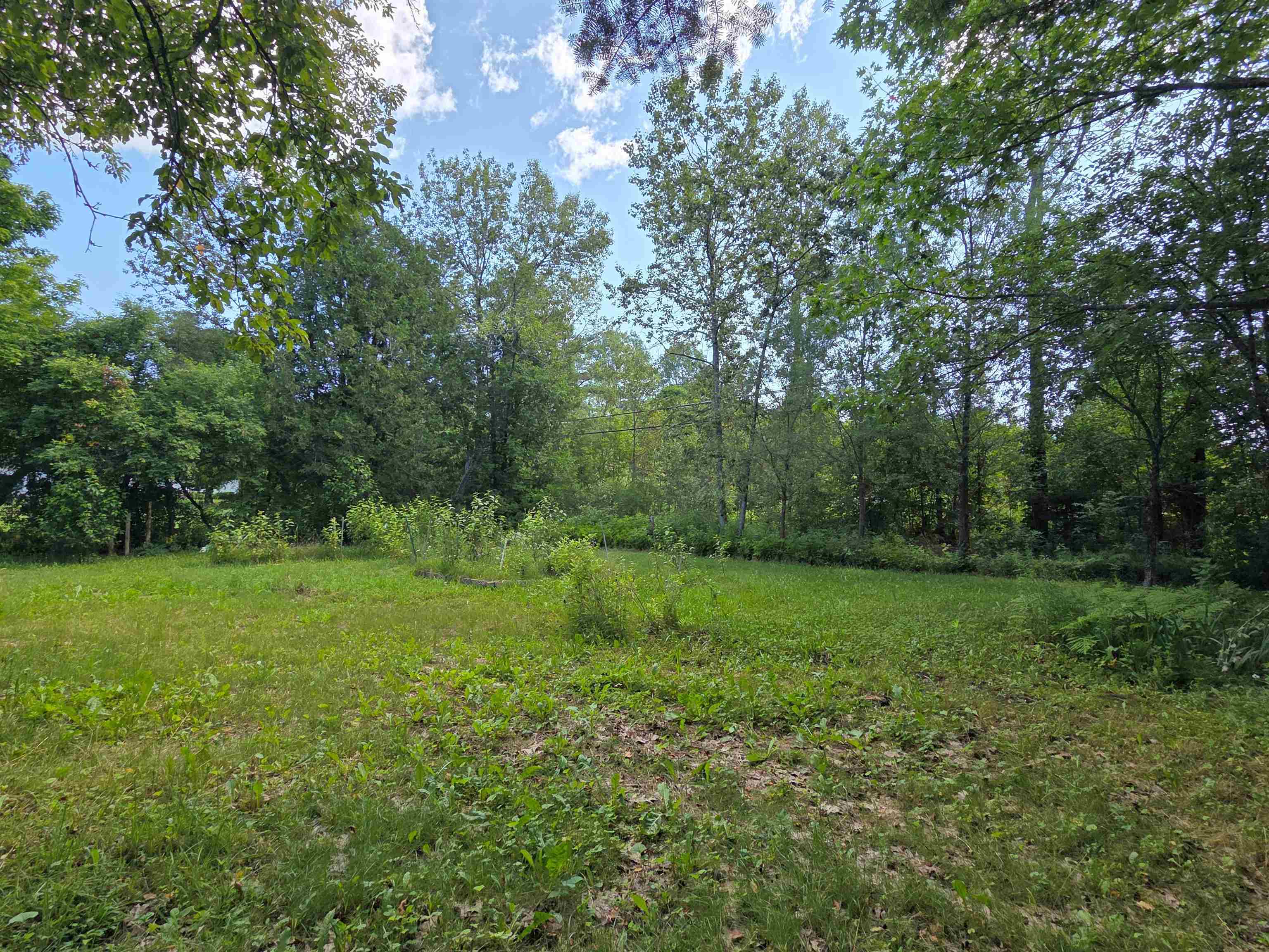 76 Harveys Hollow Road Property Photo 44
