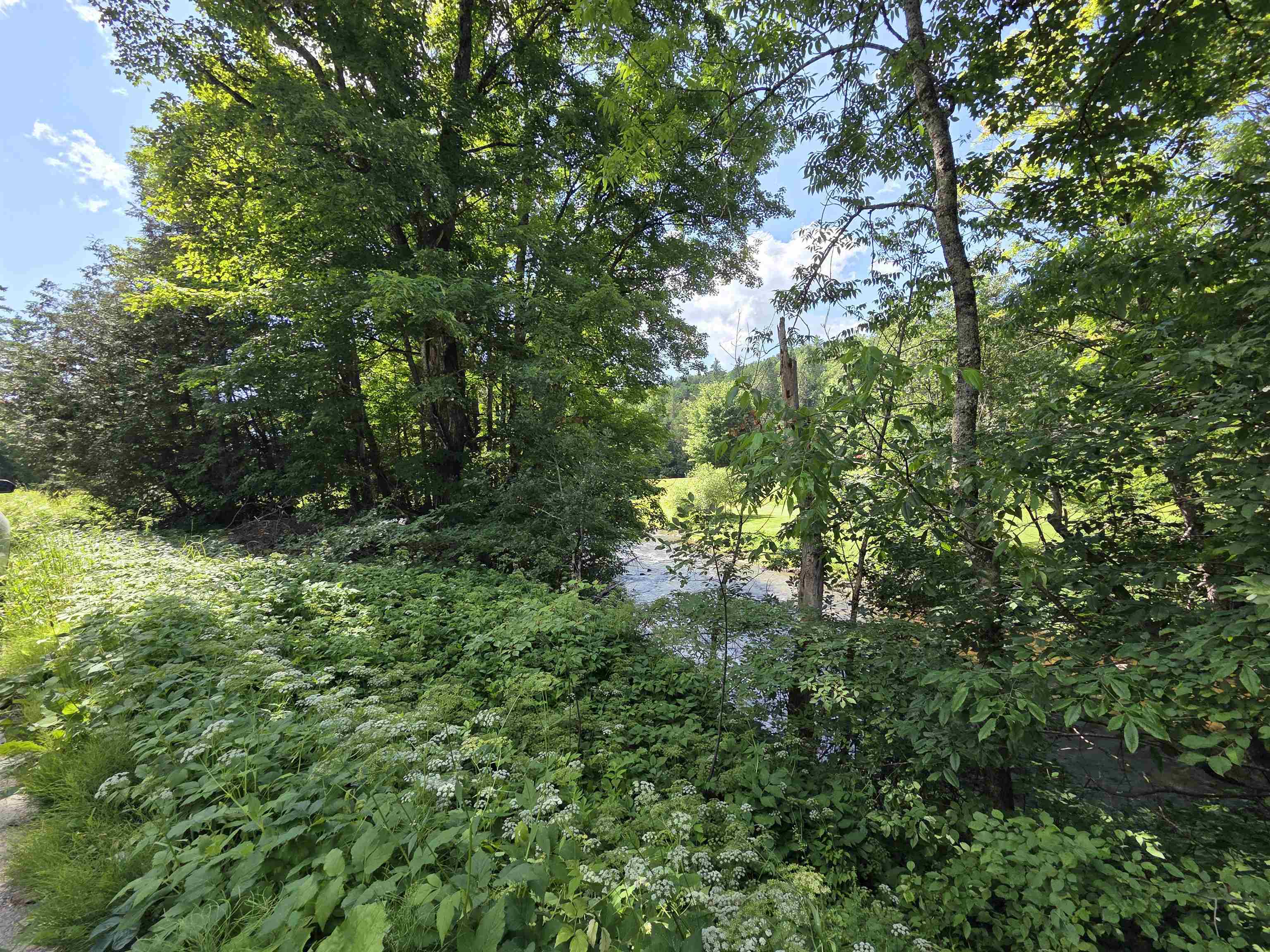 76 Harveys Hollow Road Property Photo 45