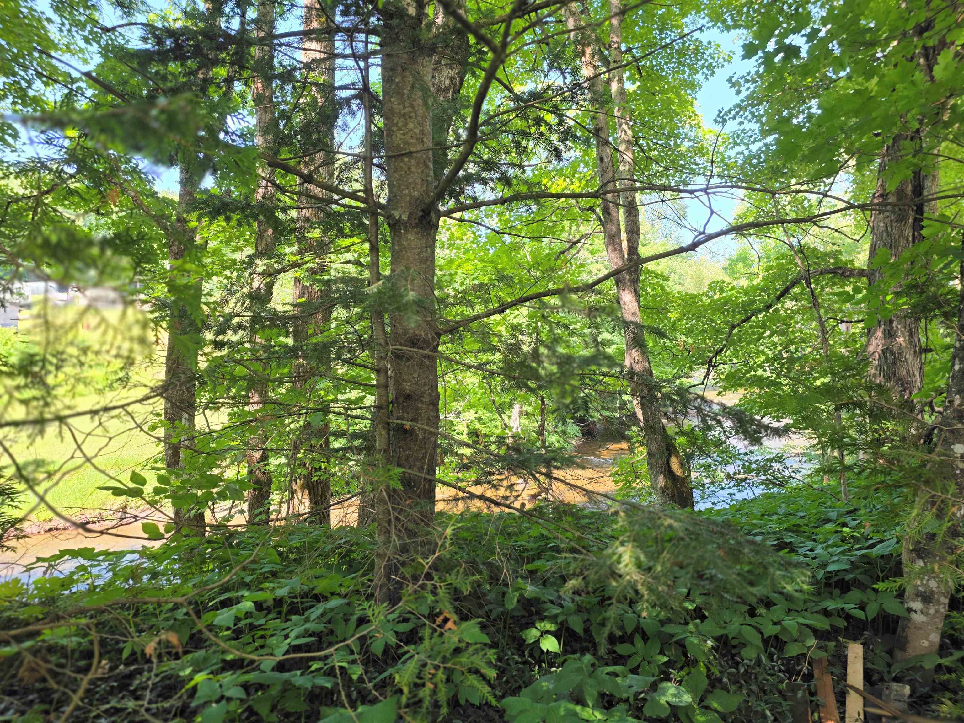 76 Harveys Hollow Road Property Photo 47