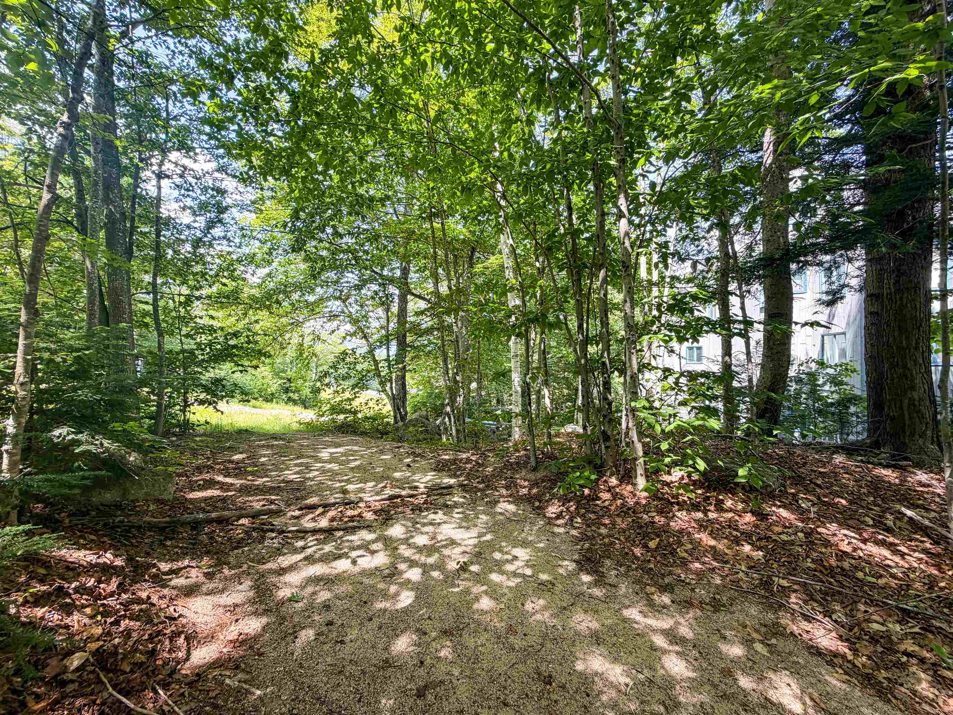 243 Cow Hill Road Property Photo 25