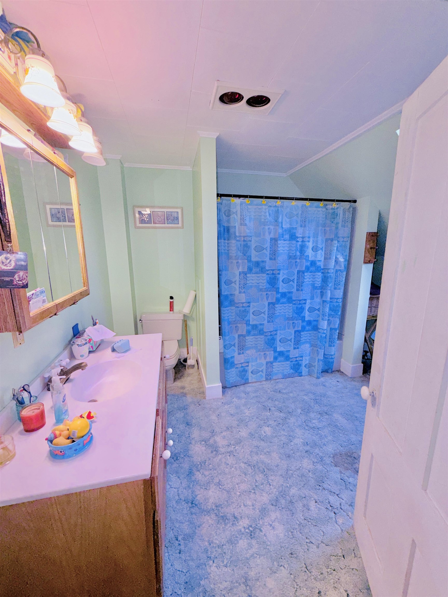 66 Elm Street Property Photo 23