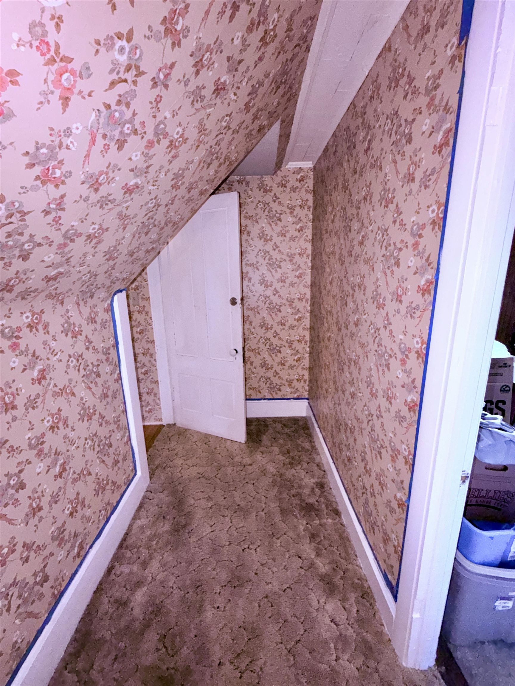 66 Elm Street Property Photo 25