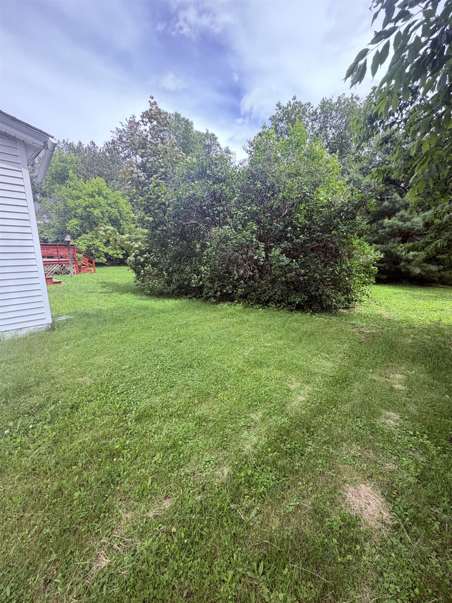 66 Elm Street Property Photo 48