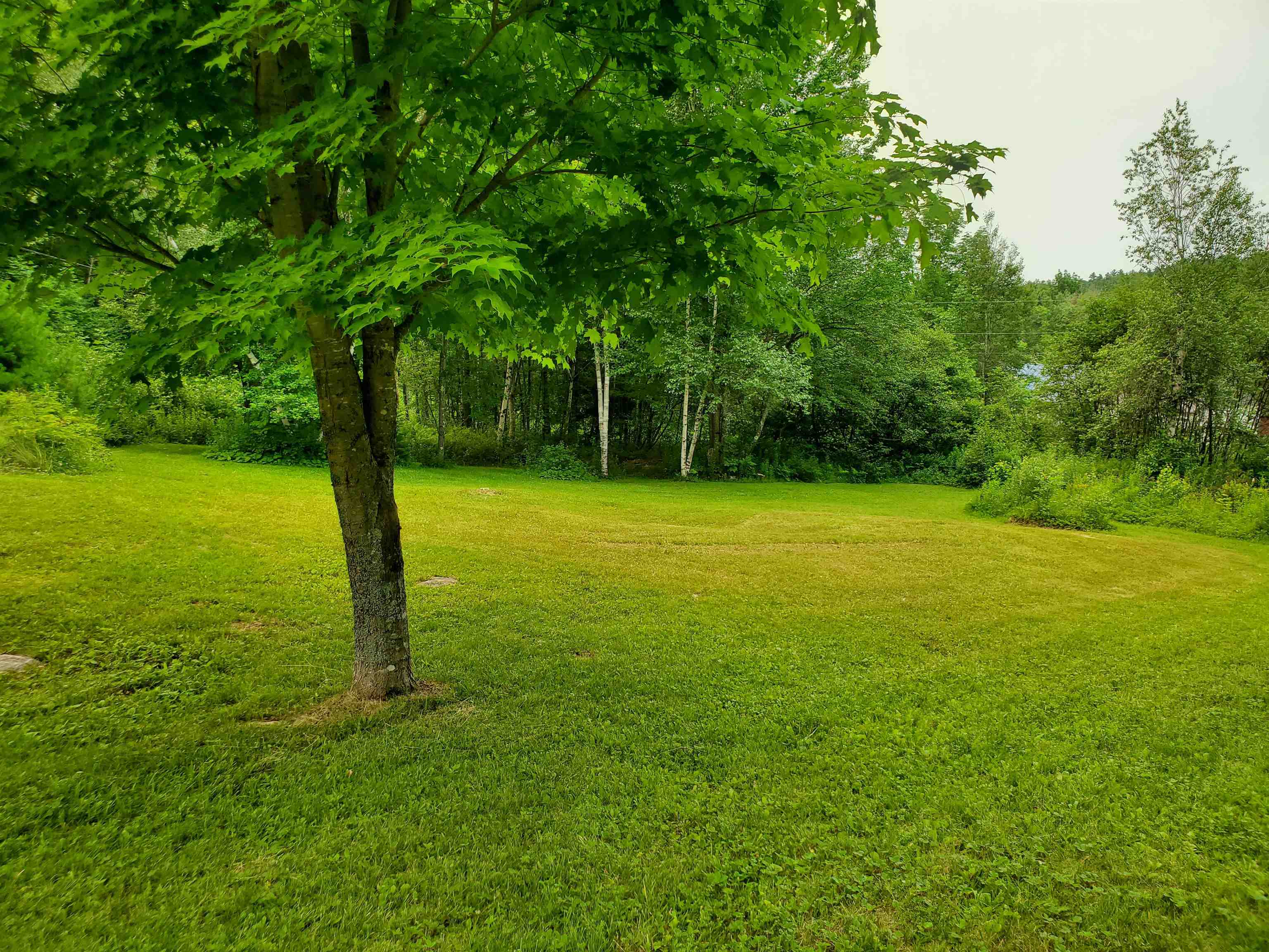 220 New Colony Road Property Photo 11