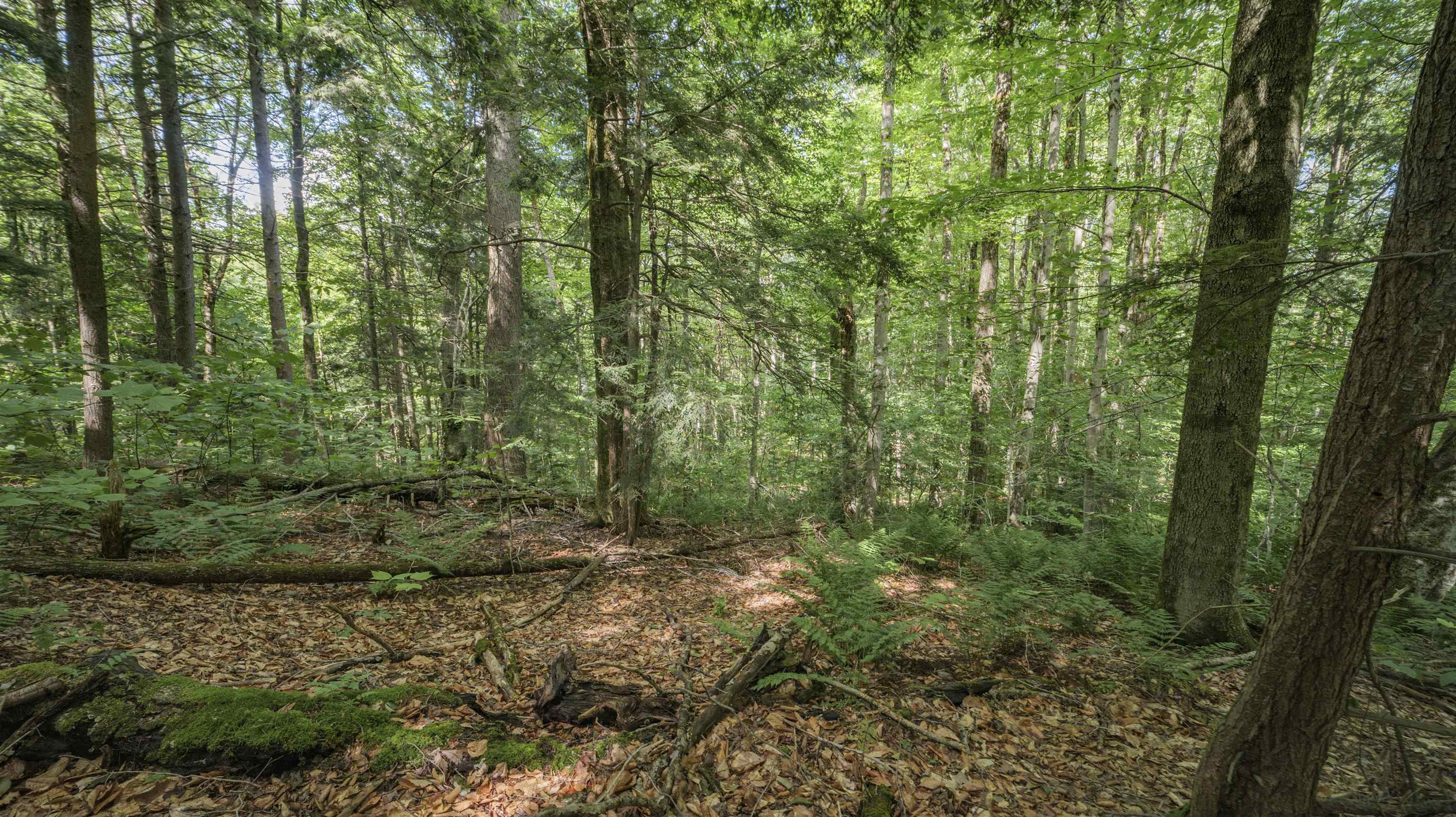00 Ryder Pond Road Property Photo 4