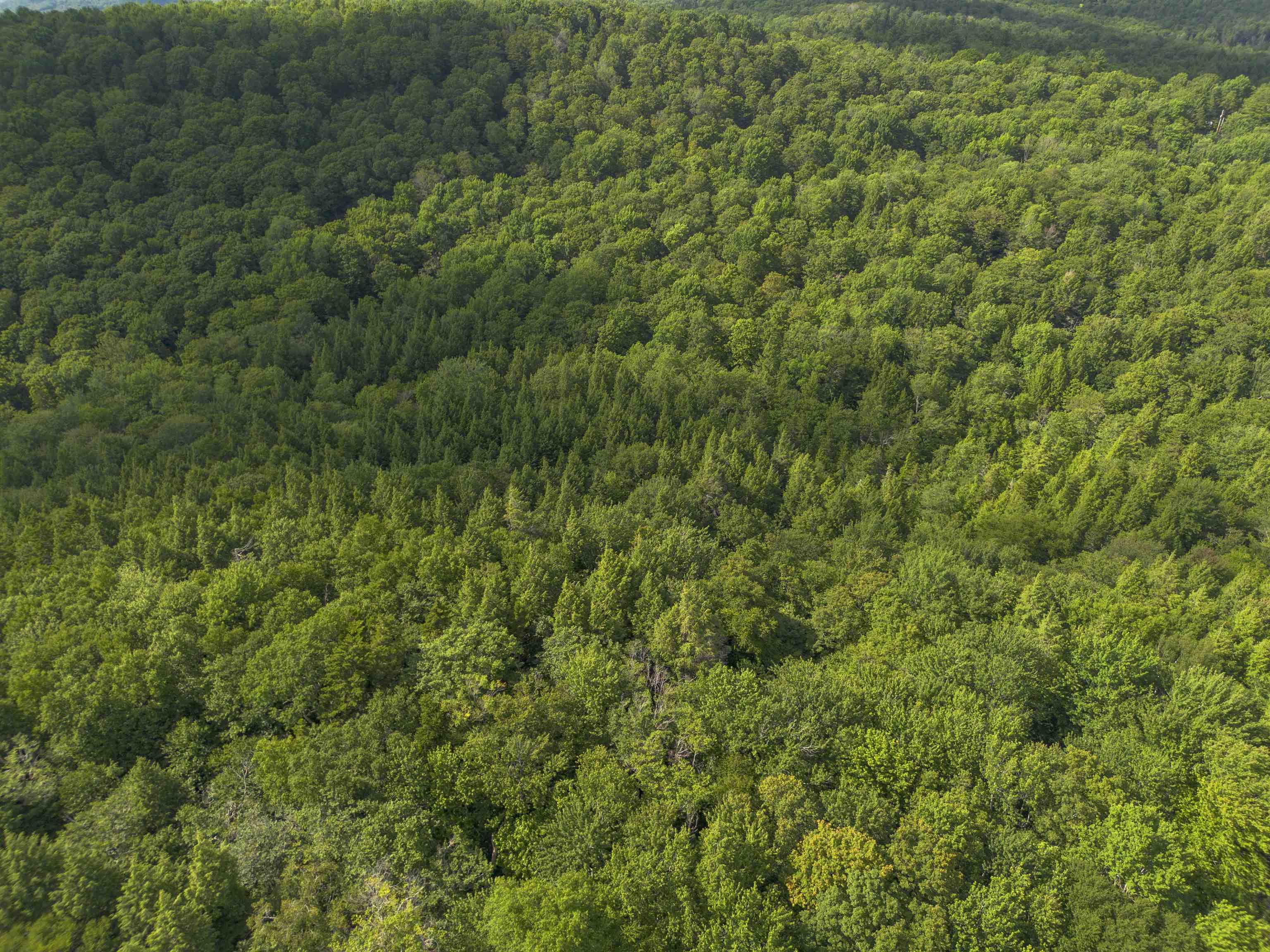 00 Ryder Pond Road Property Photo 14