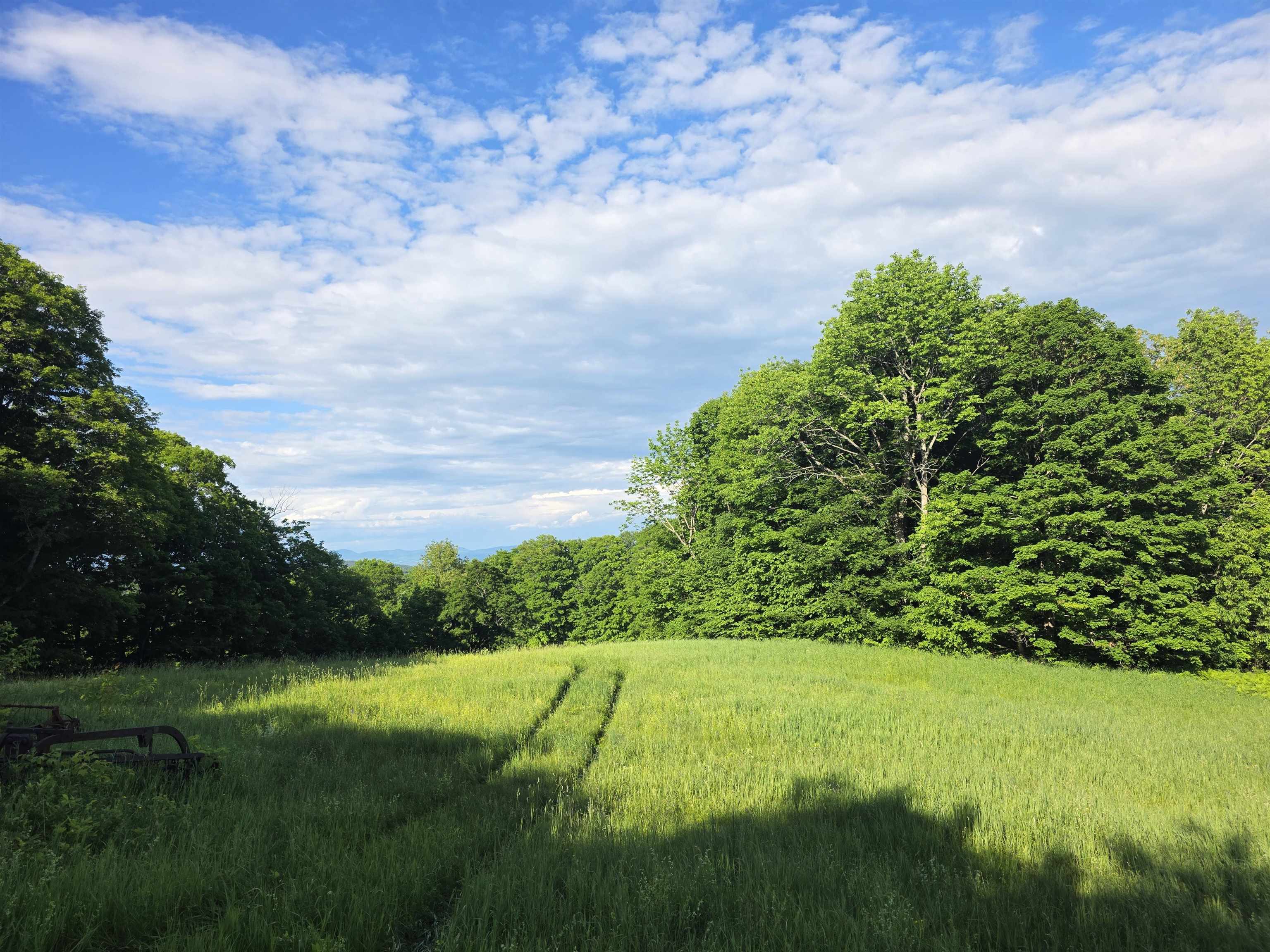 2001 Keiser Pond Road Property Photo 6