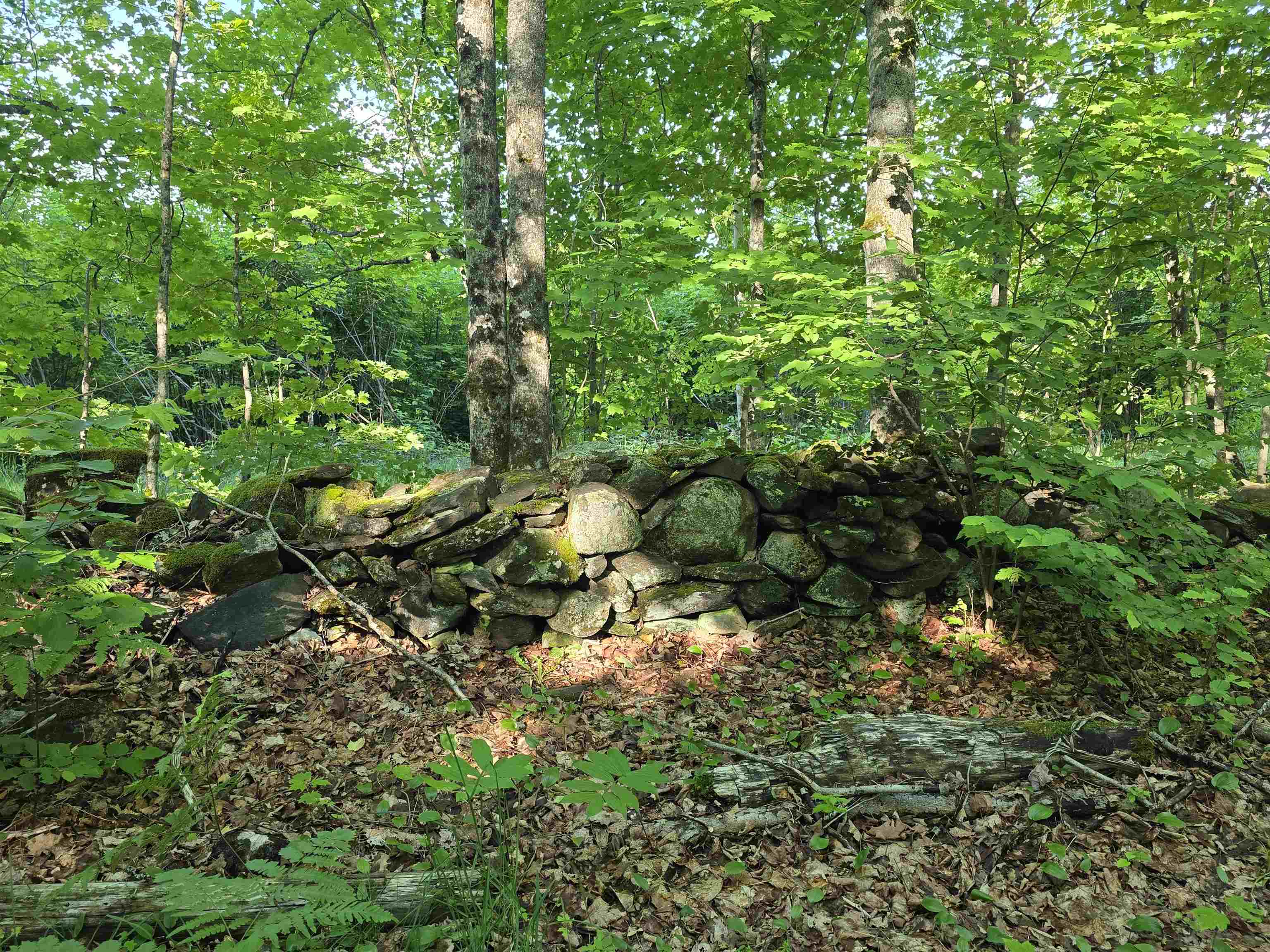 2001 Keiser Pond Road Property Photo 7