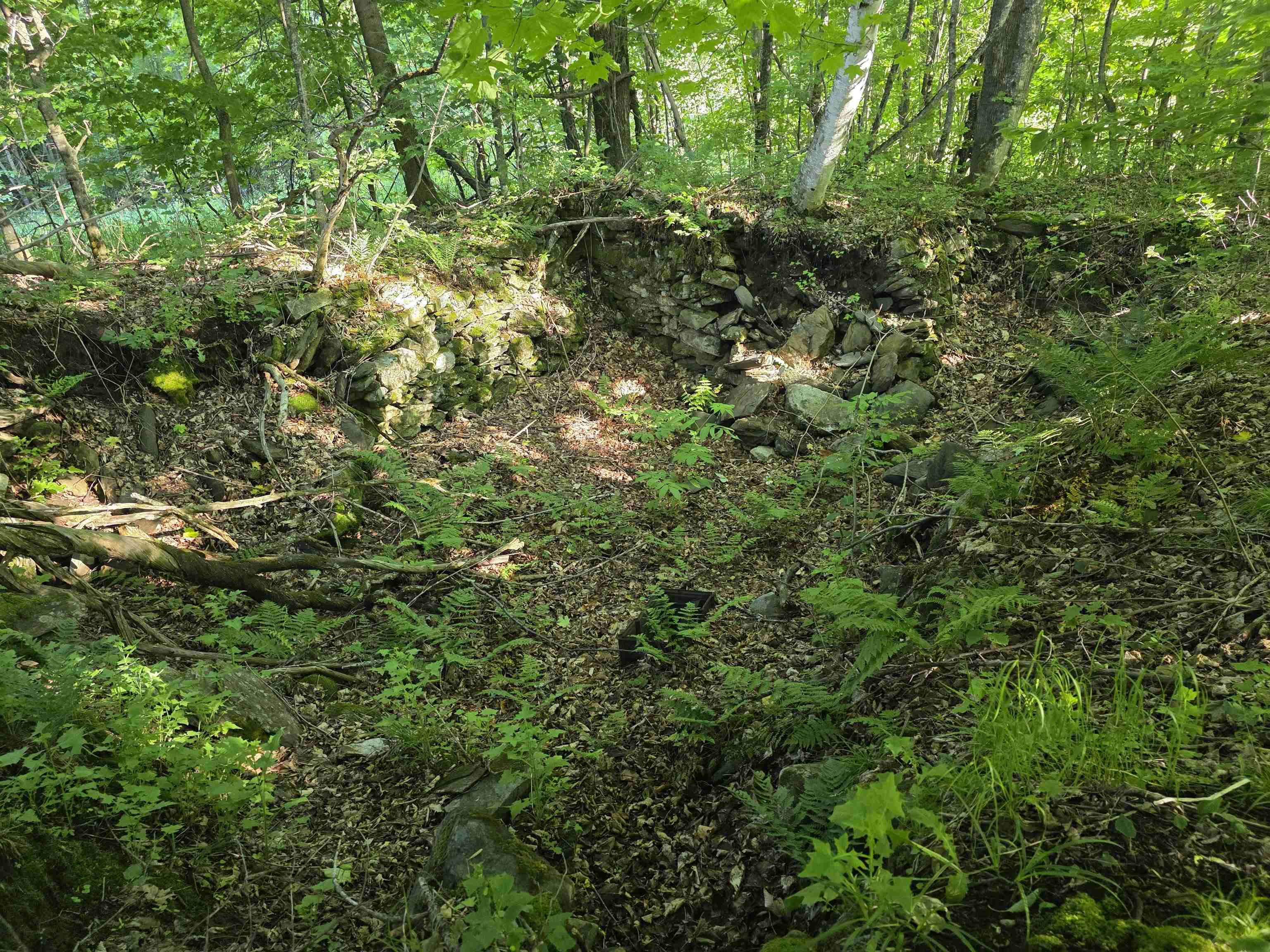 2001 Keiser Pond Road Property Photo 8