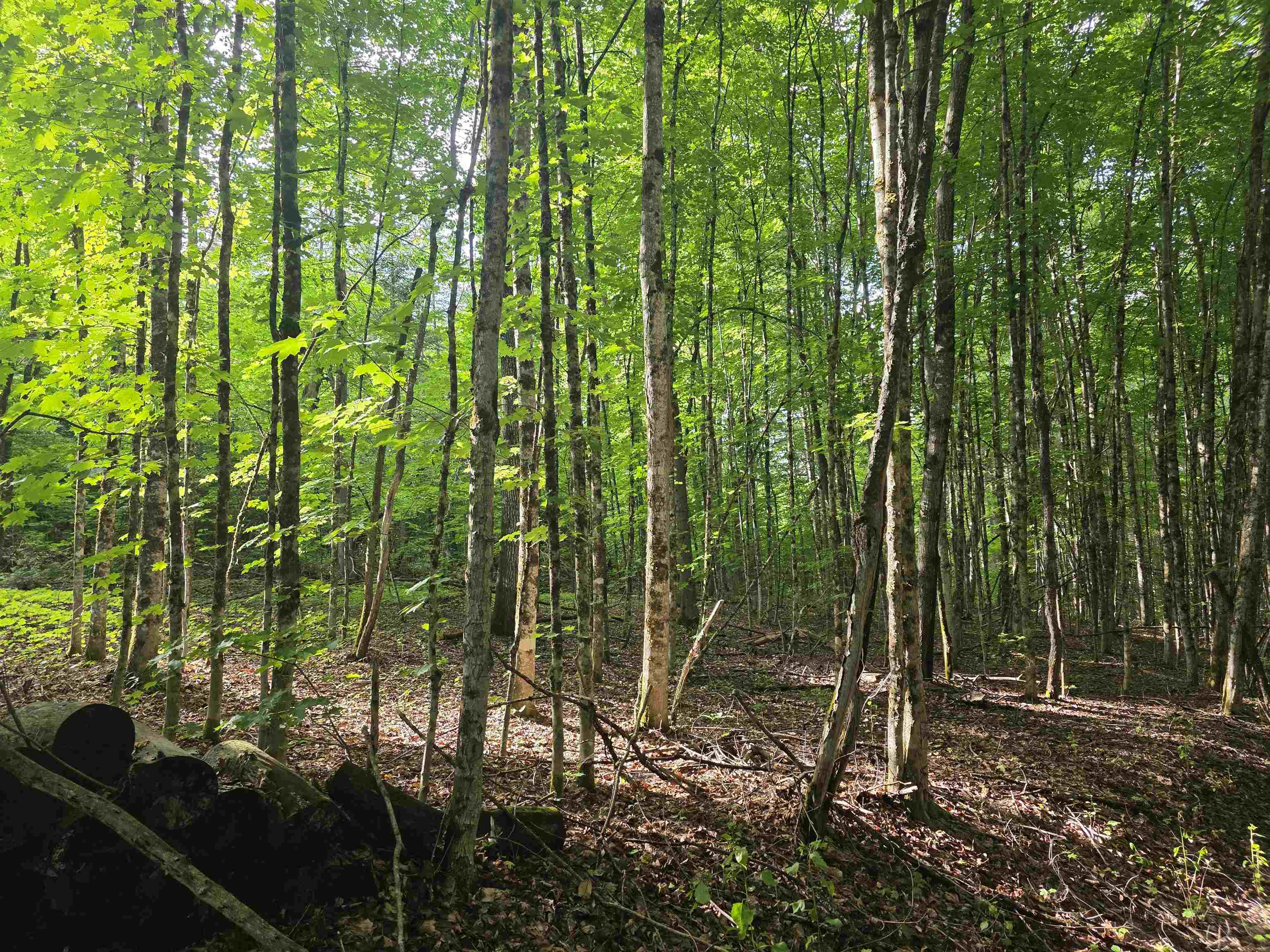 2001 Keiser Pond Road Property Photo 9