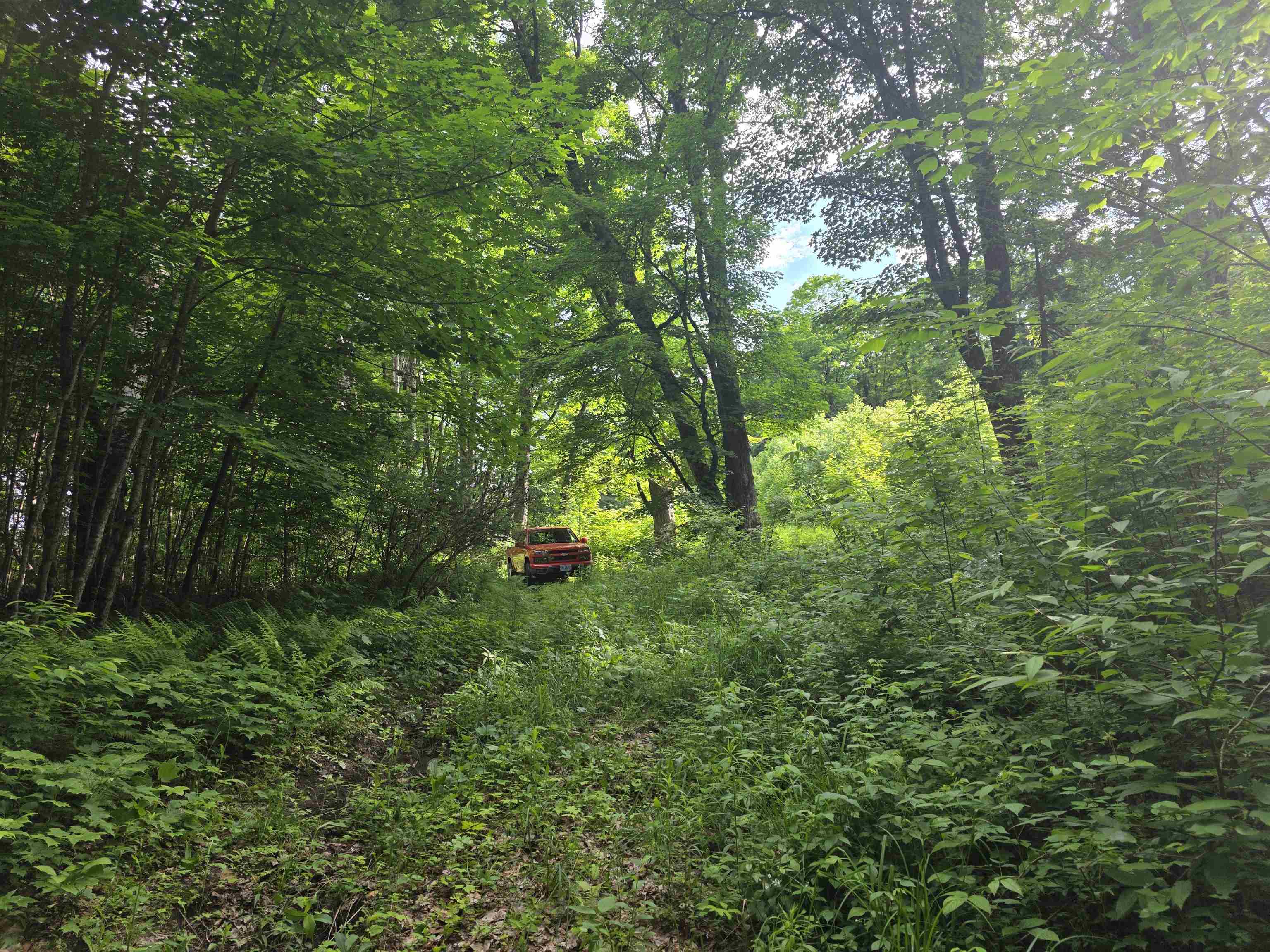 2001 Keiser Pond Road Property Photo 15