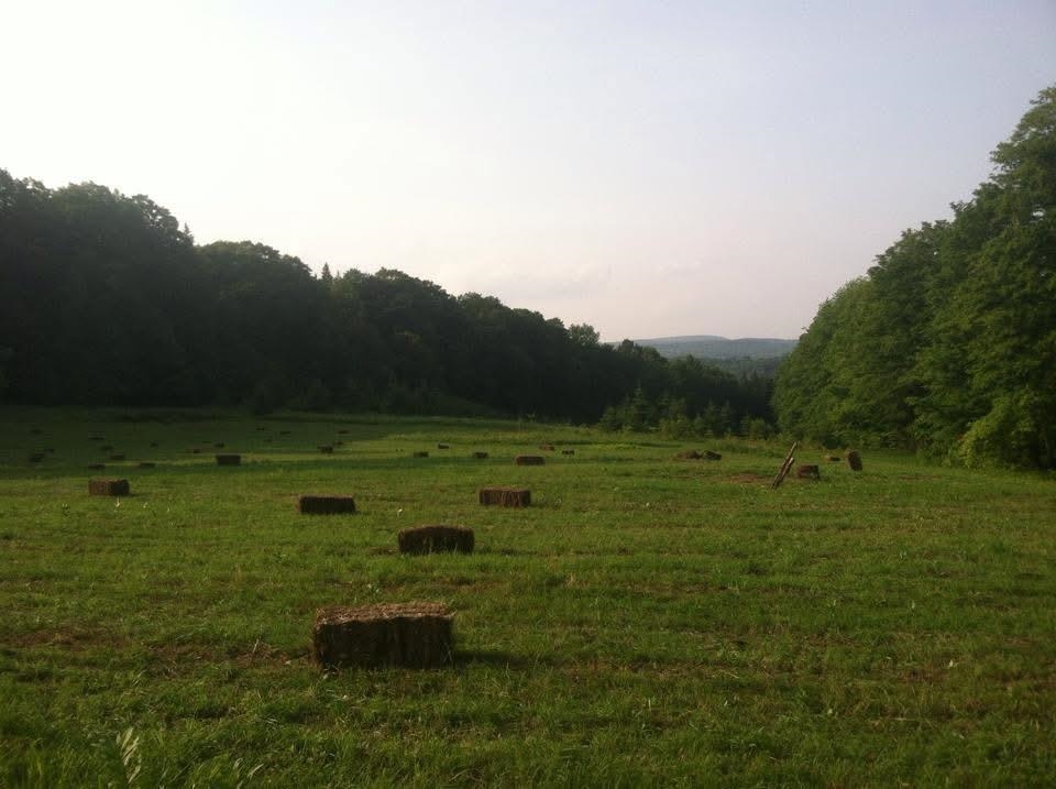 2001 Keiser Pond Road Property Photo 18