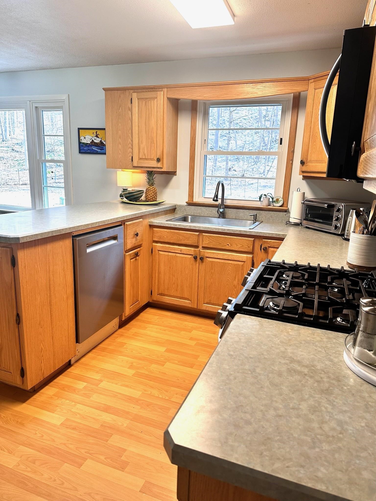 1537 Lake Dunmore Road Property Photo 6