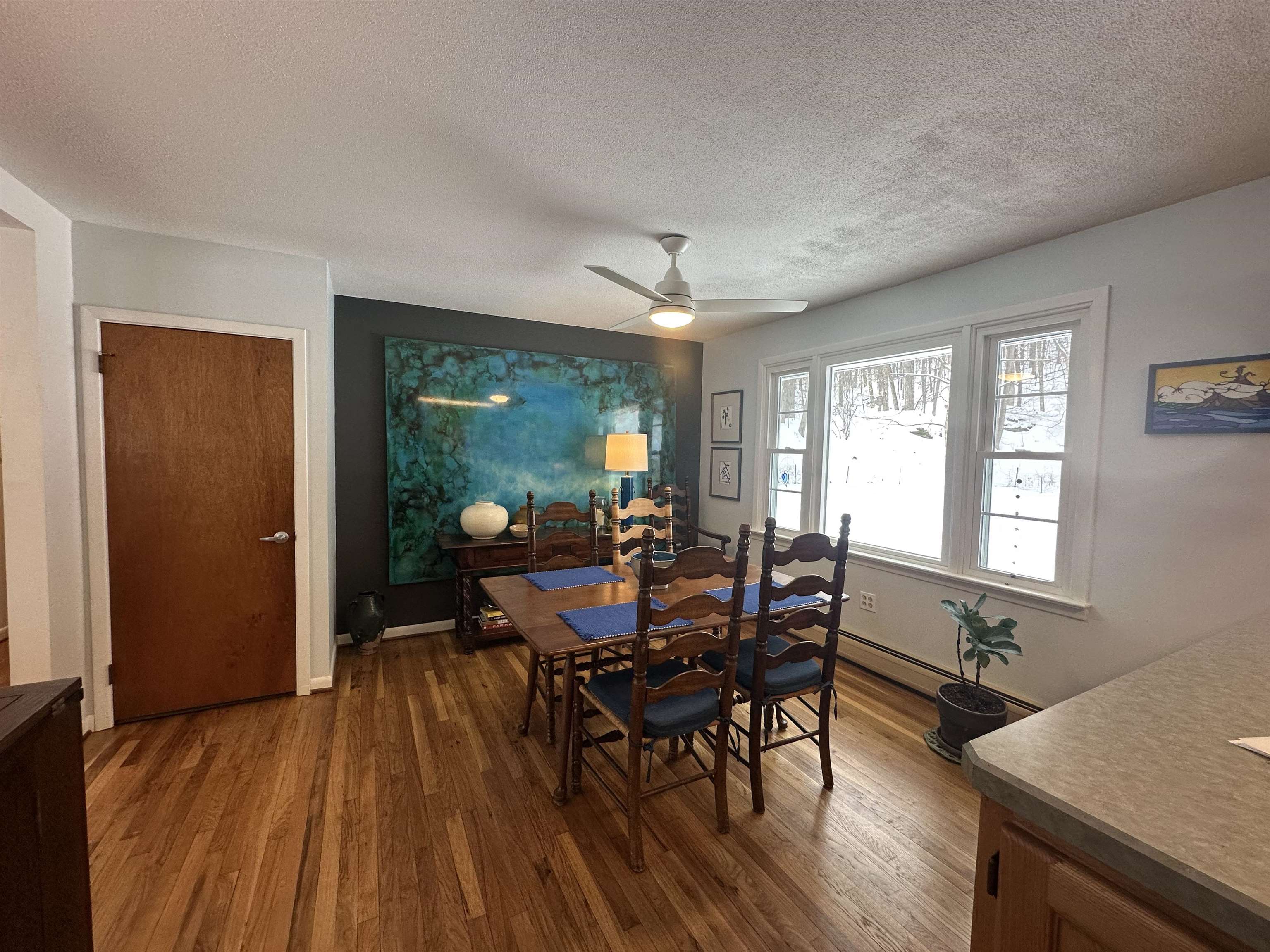 1537 Lake Dunmore Road Property Photo 12