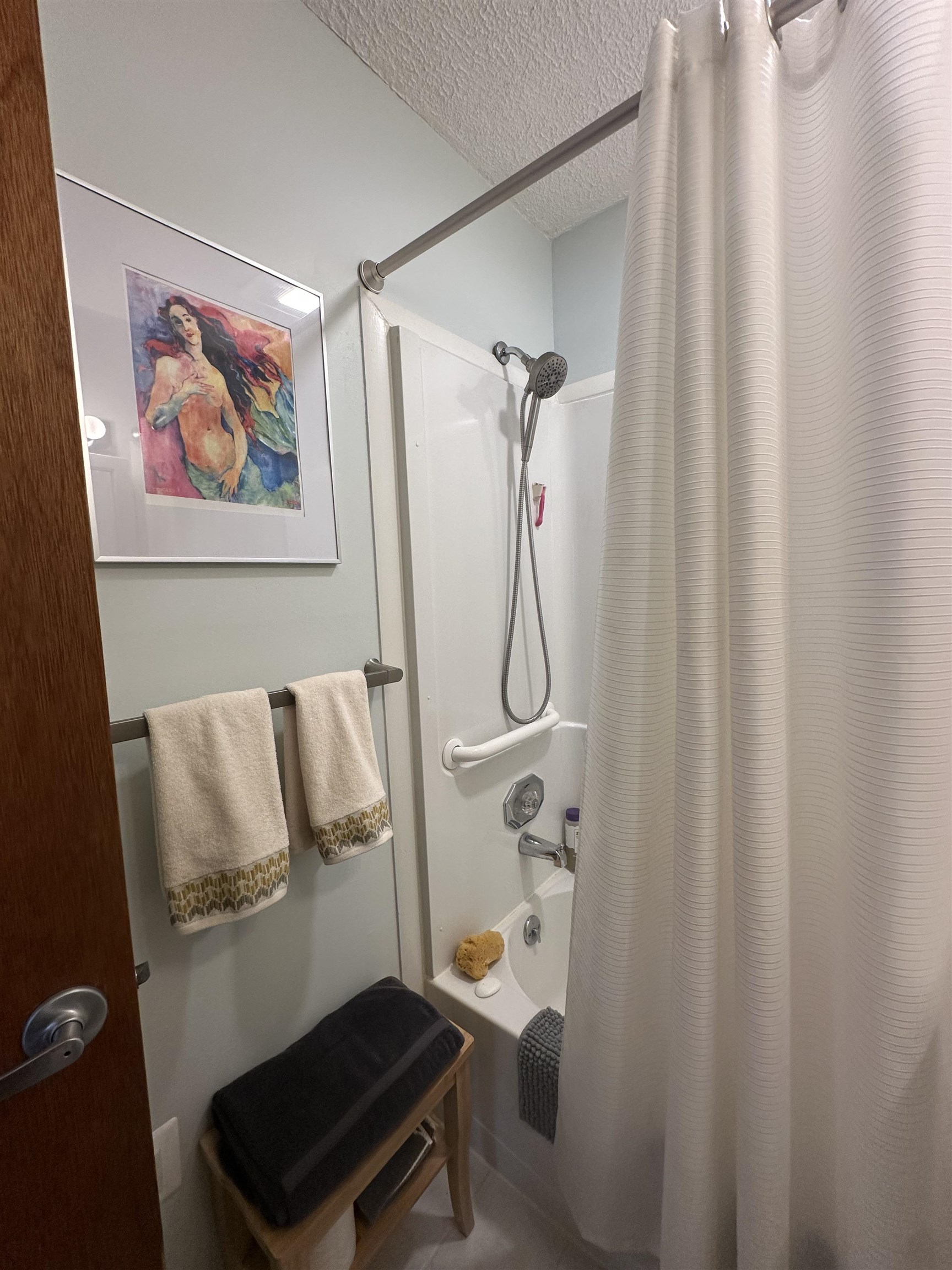 1537 Lake Dunmore Road Property Photo 21