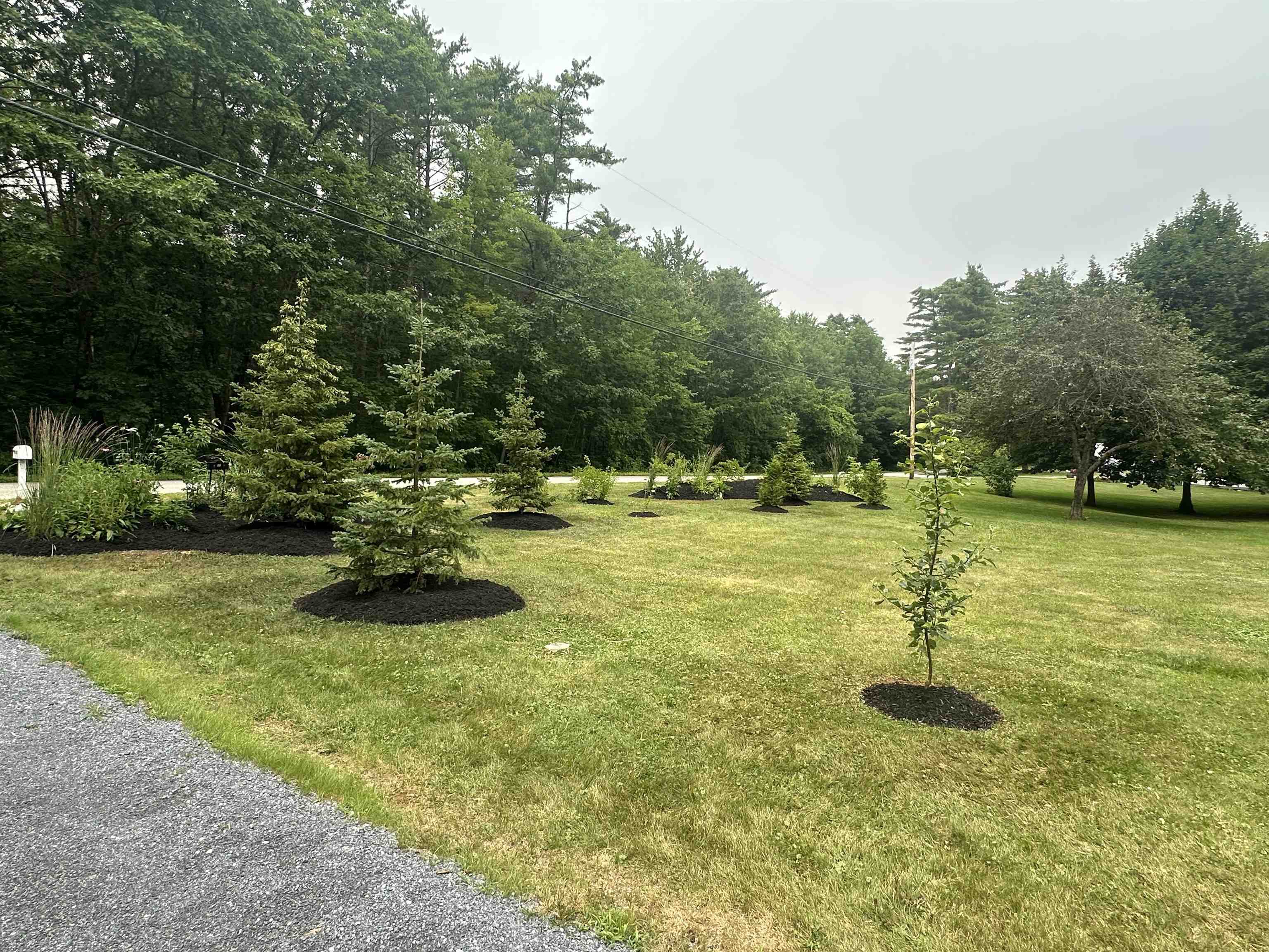 1537 Lake Dunmore Road Property Photo 34