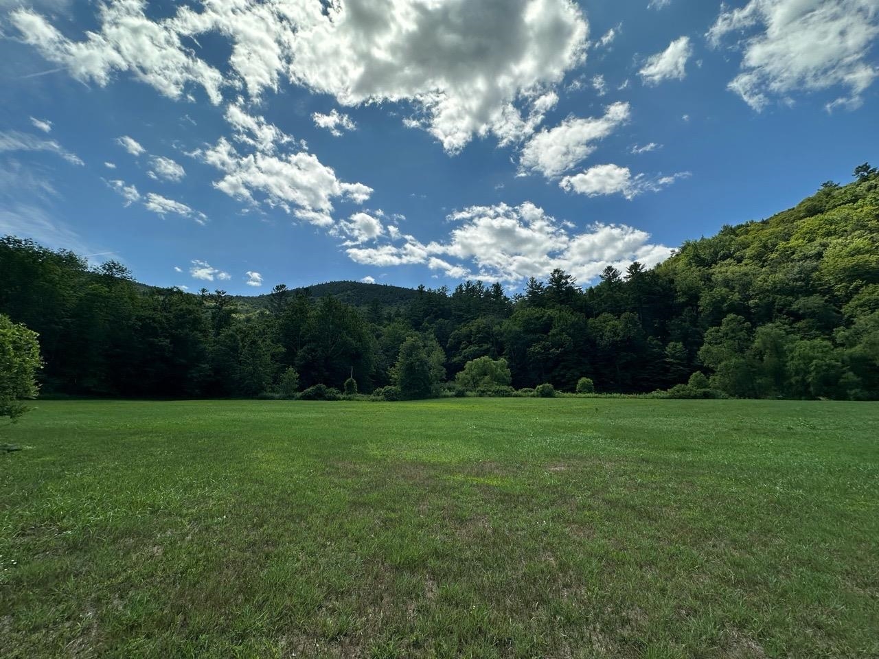 2903 State Forest Road Property Photo 5
