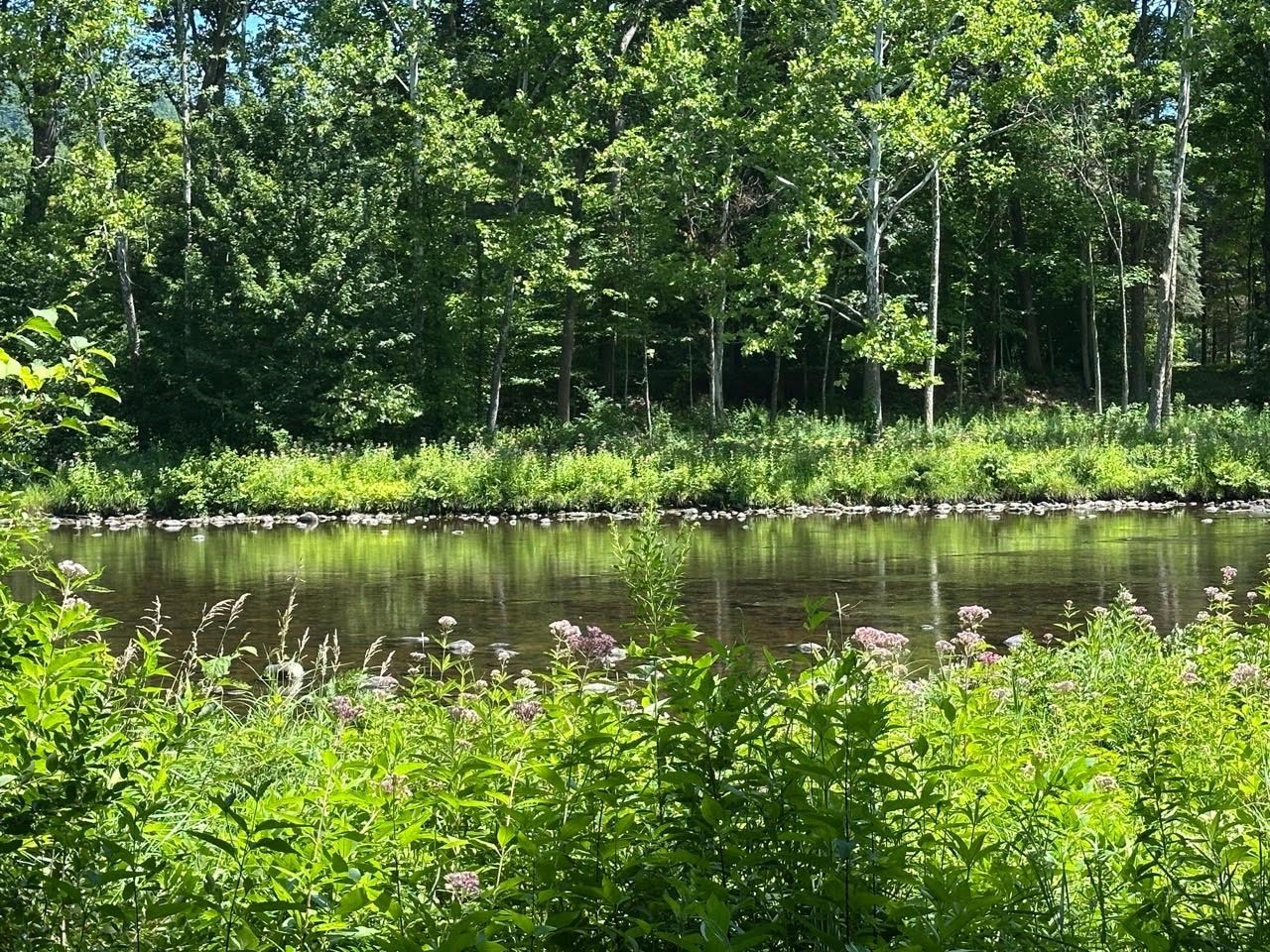 2903 State Forest Road Property Photo 8