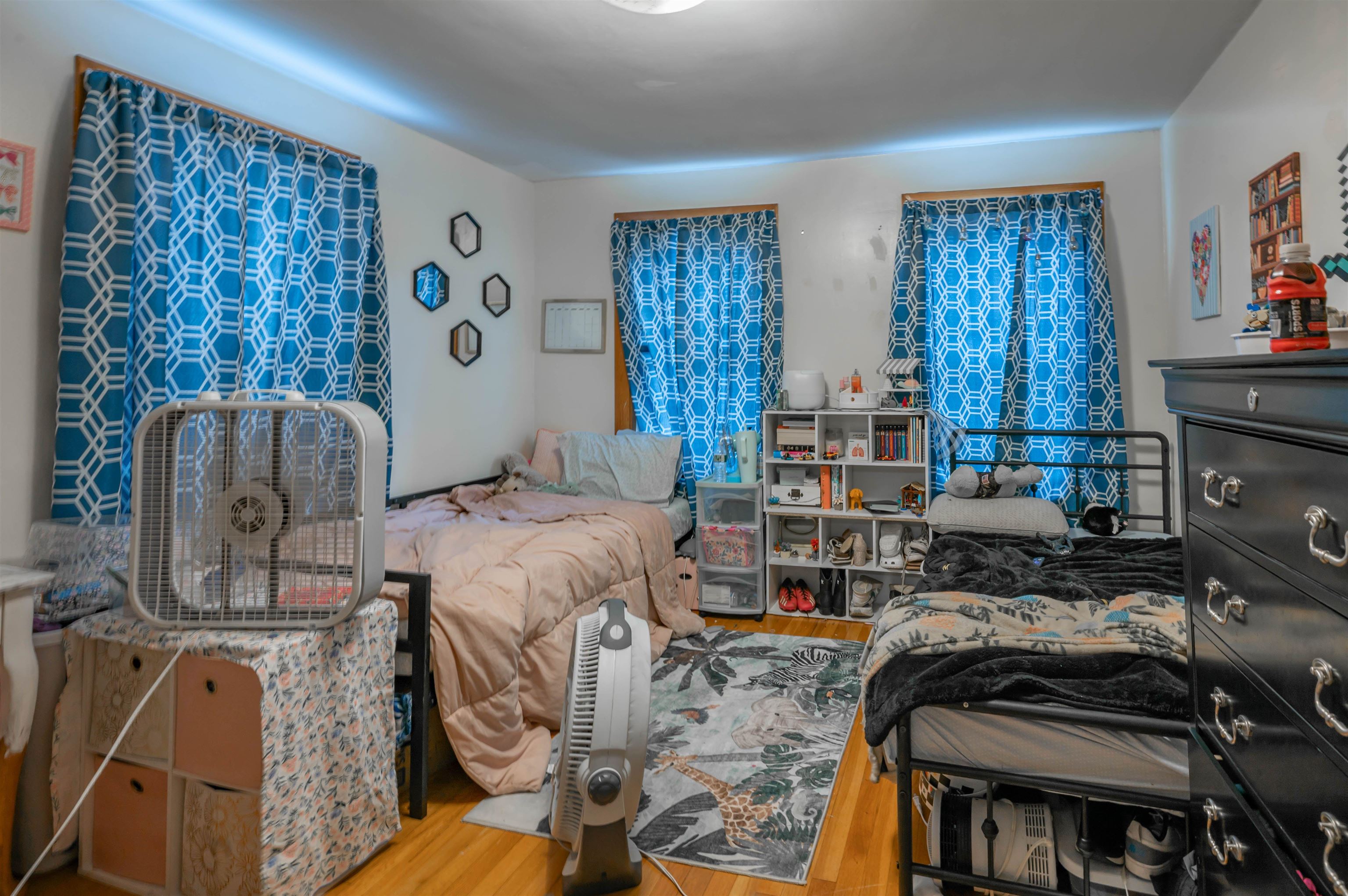72 Palm Street Property Photo 17