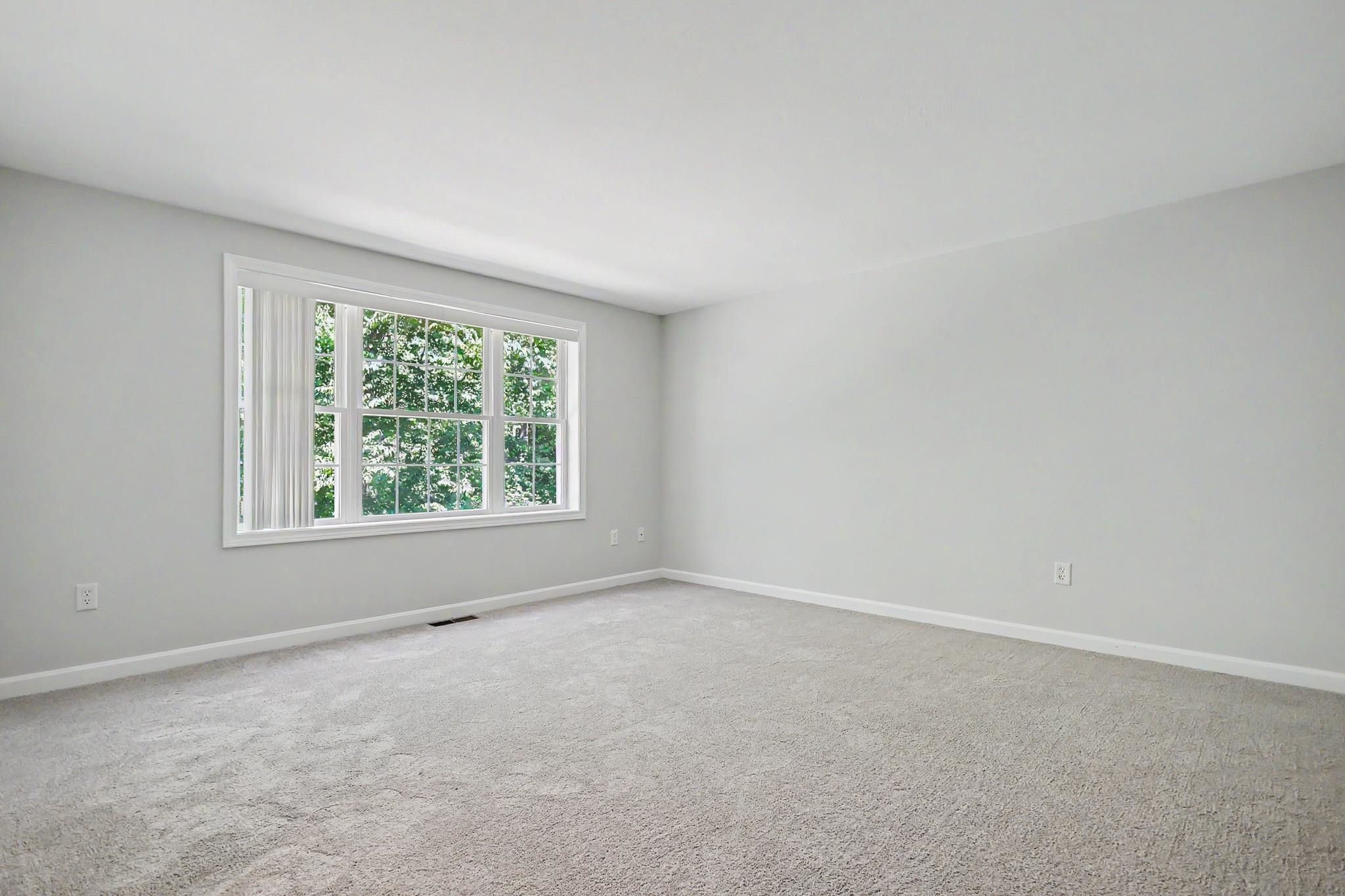 35 Forrest Street Property Photo 19