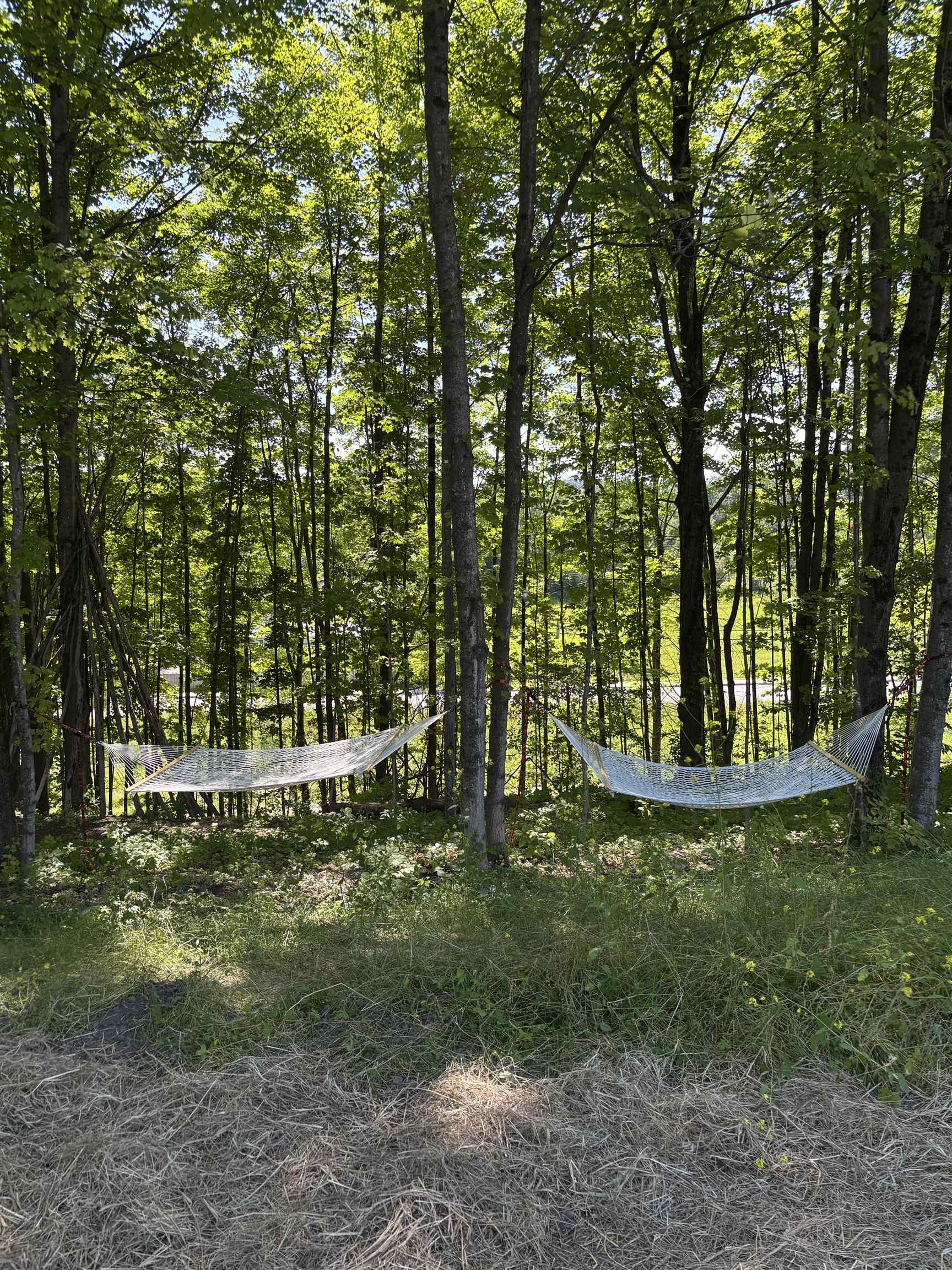 Lot #12 Pocket Road Property Photo 9