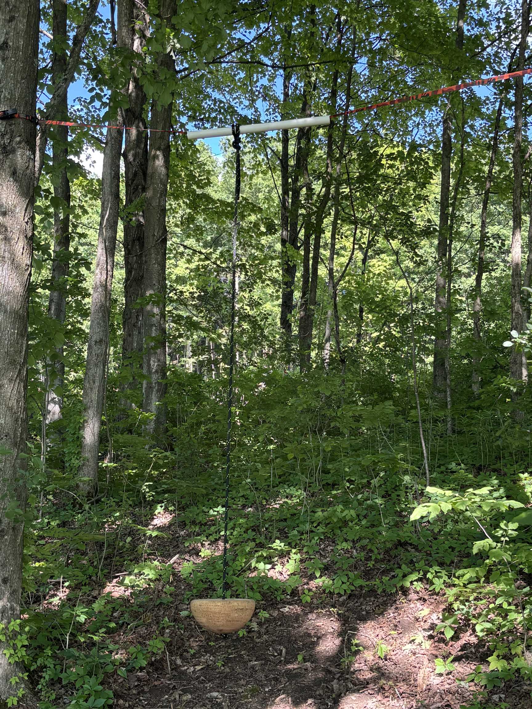 Lot #14 Pocket Road Property Photo 11
