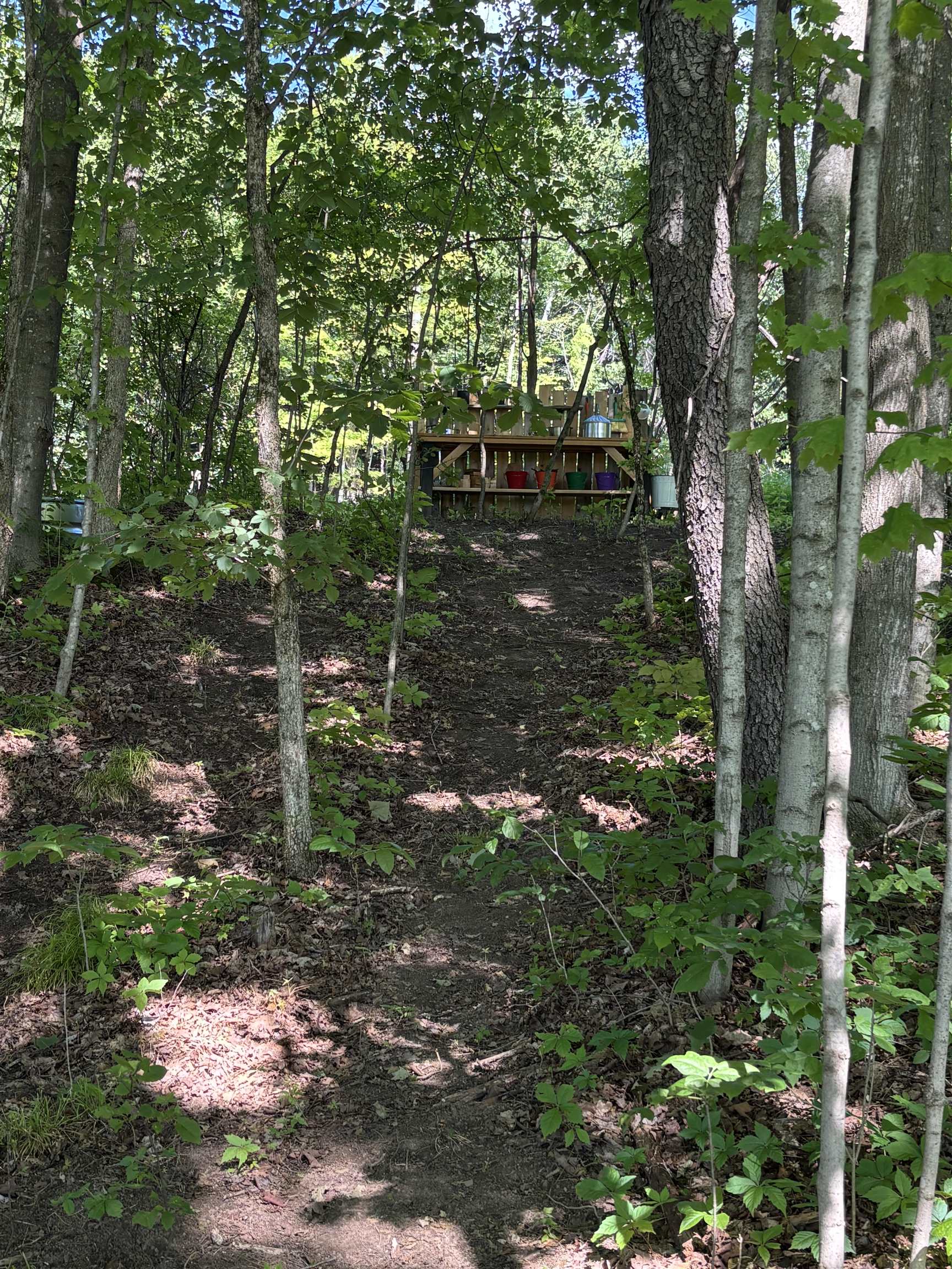 Lot #16 Pocket Road Property Photo 10