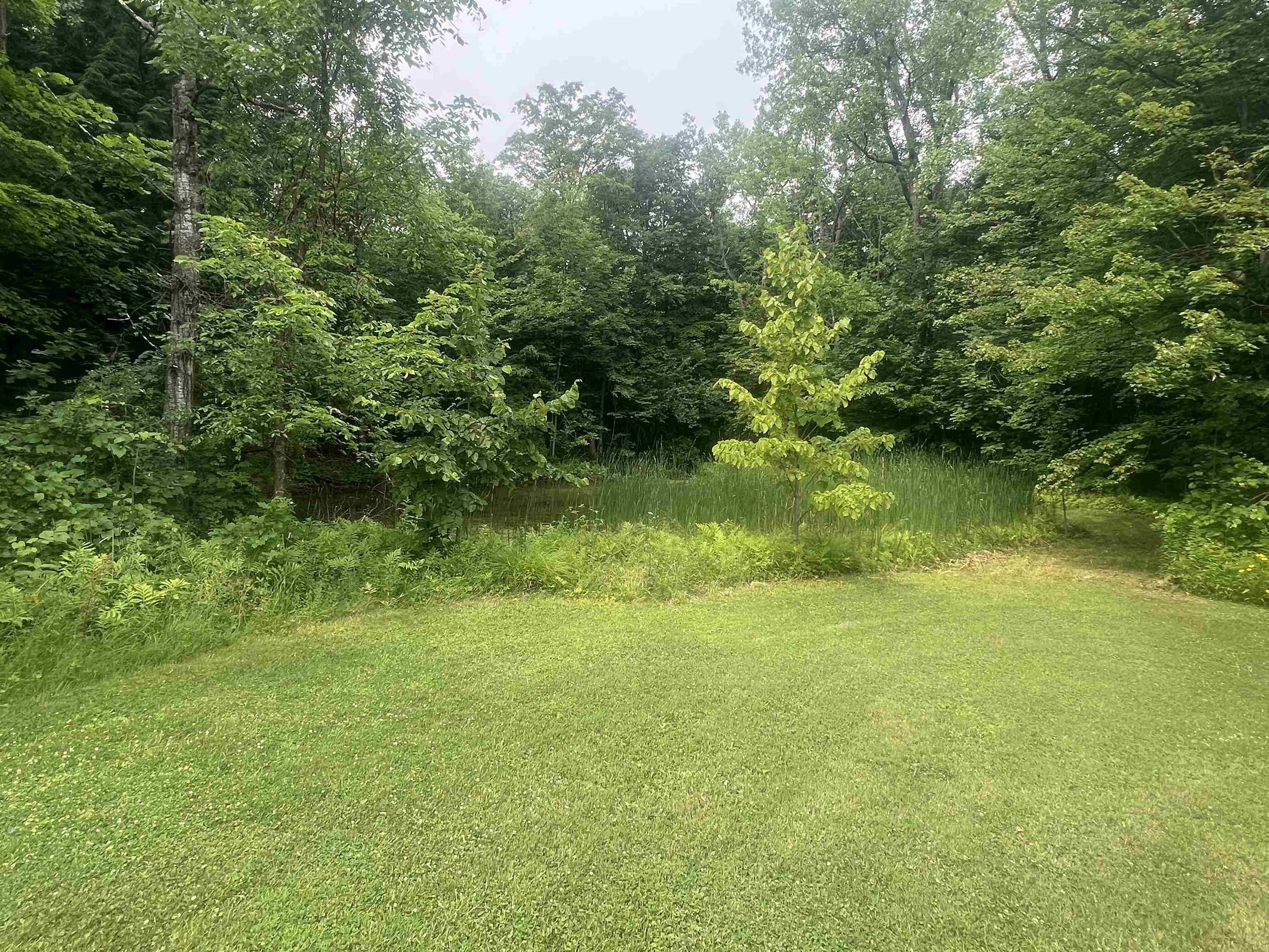 166 Manley Road Property Photo 7
