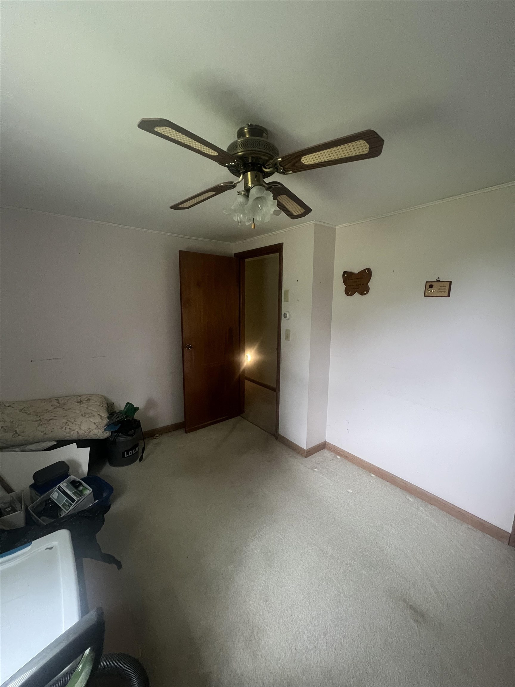 166 Manley Road Property Photo 22