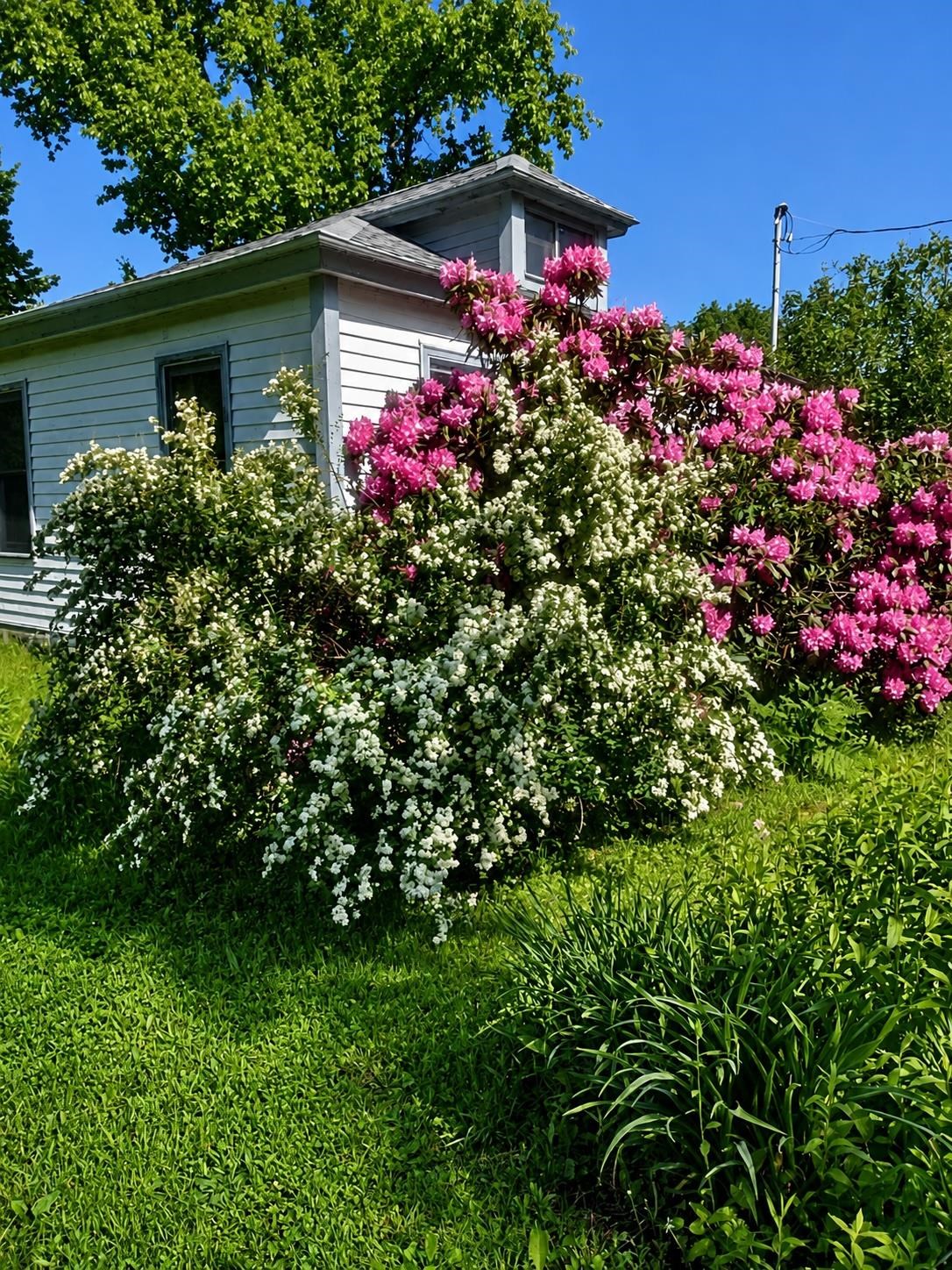 166 Manley Road Property Photo 31